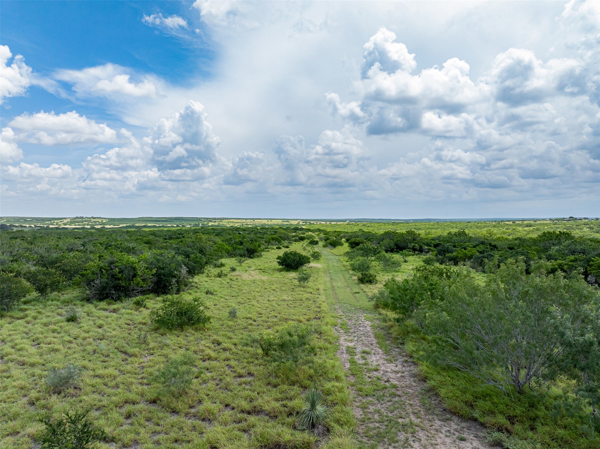 817 Highway 59 George West, TX 78022 - Photo 40 of 40 a view of a bunch of trees and bushes