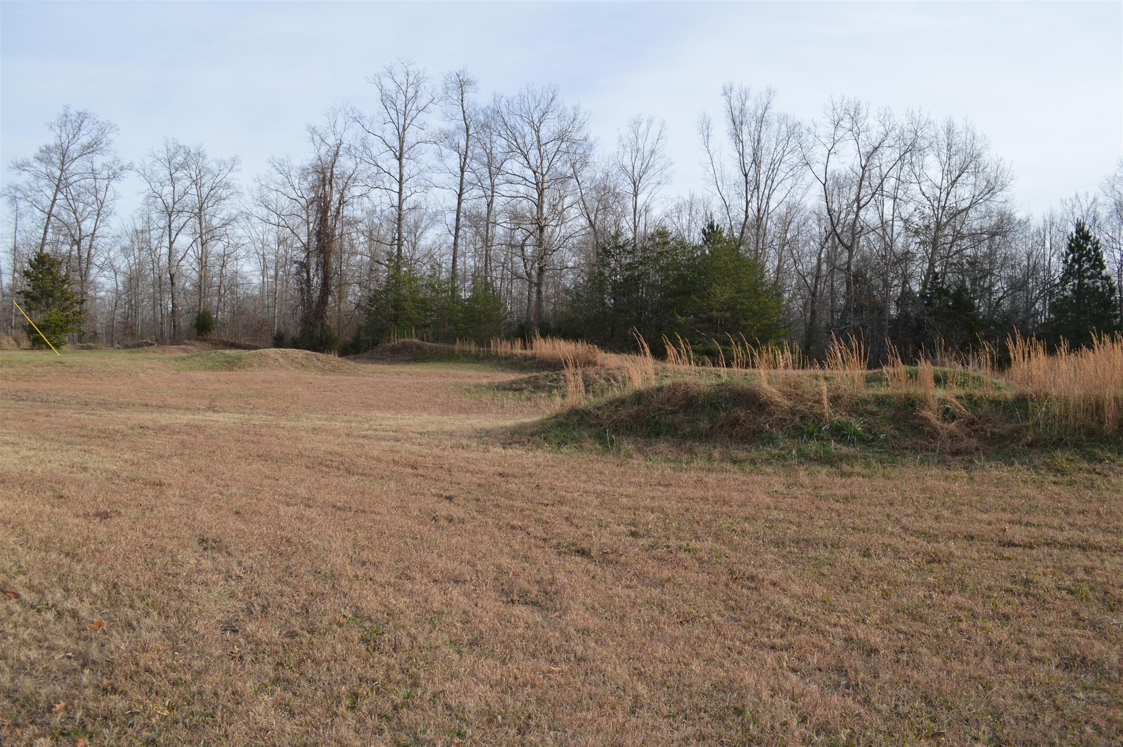 2083 White Bluff Road Burns, TN 37029 - Photo 2 of 20 Gallery Image 2