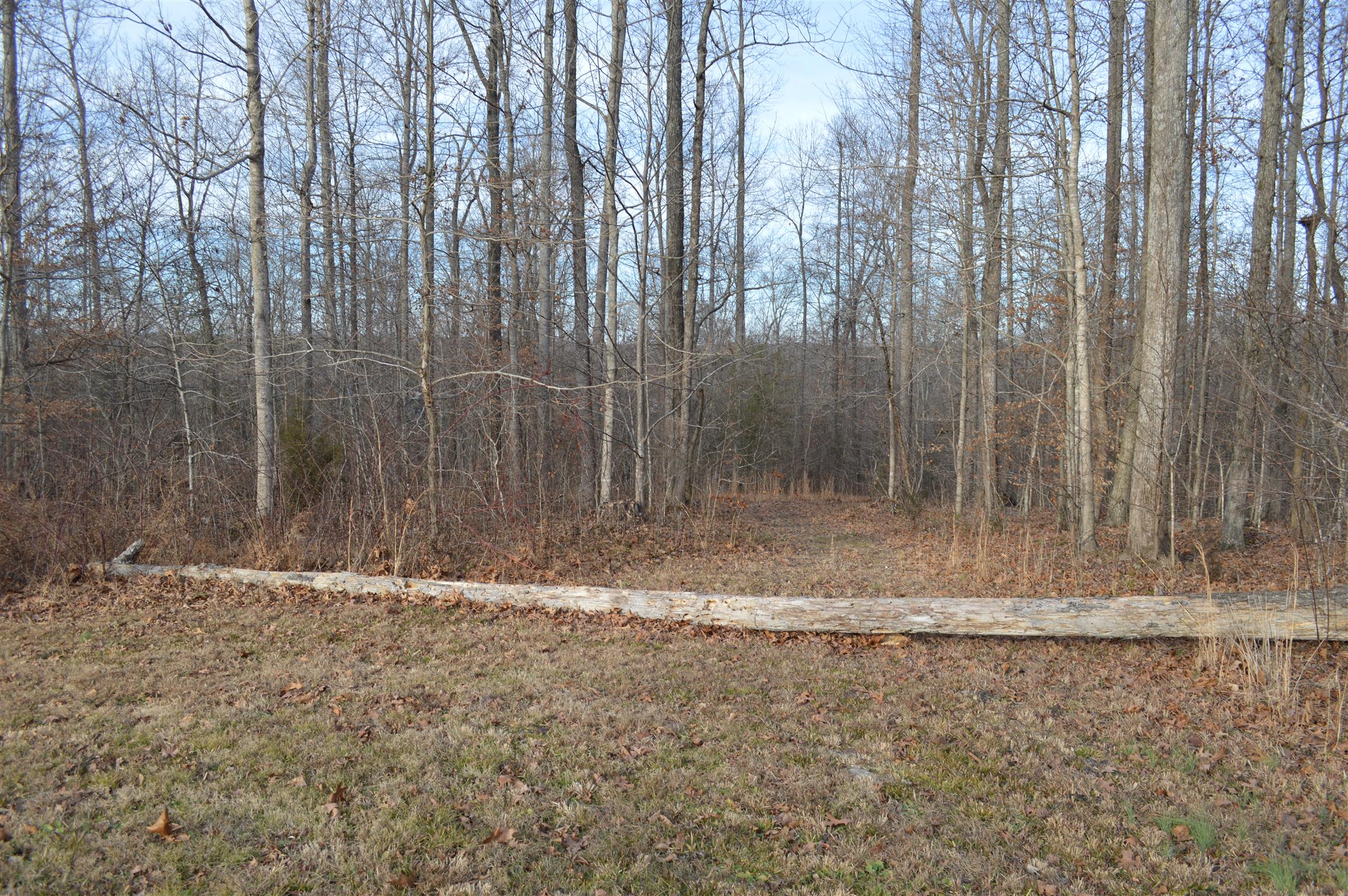 2083 White Bluff Road Burns, TN 37029 - Photo 15 of 20 Gallery Image 15