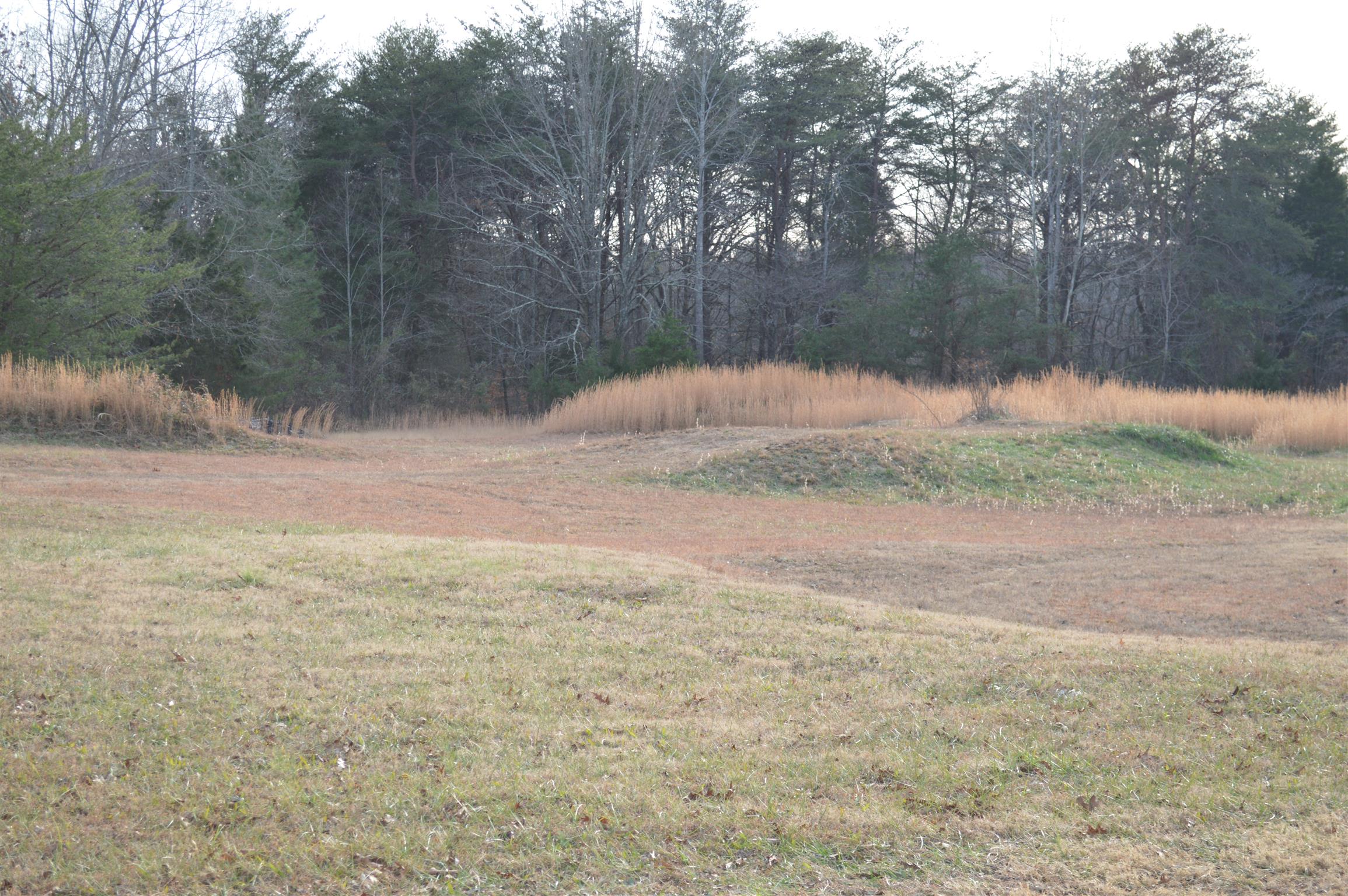 2083 White Bluff Road Burns, TN 37029 - Photo 16 of 20 Gallery Image 16