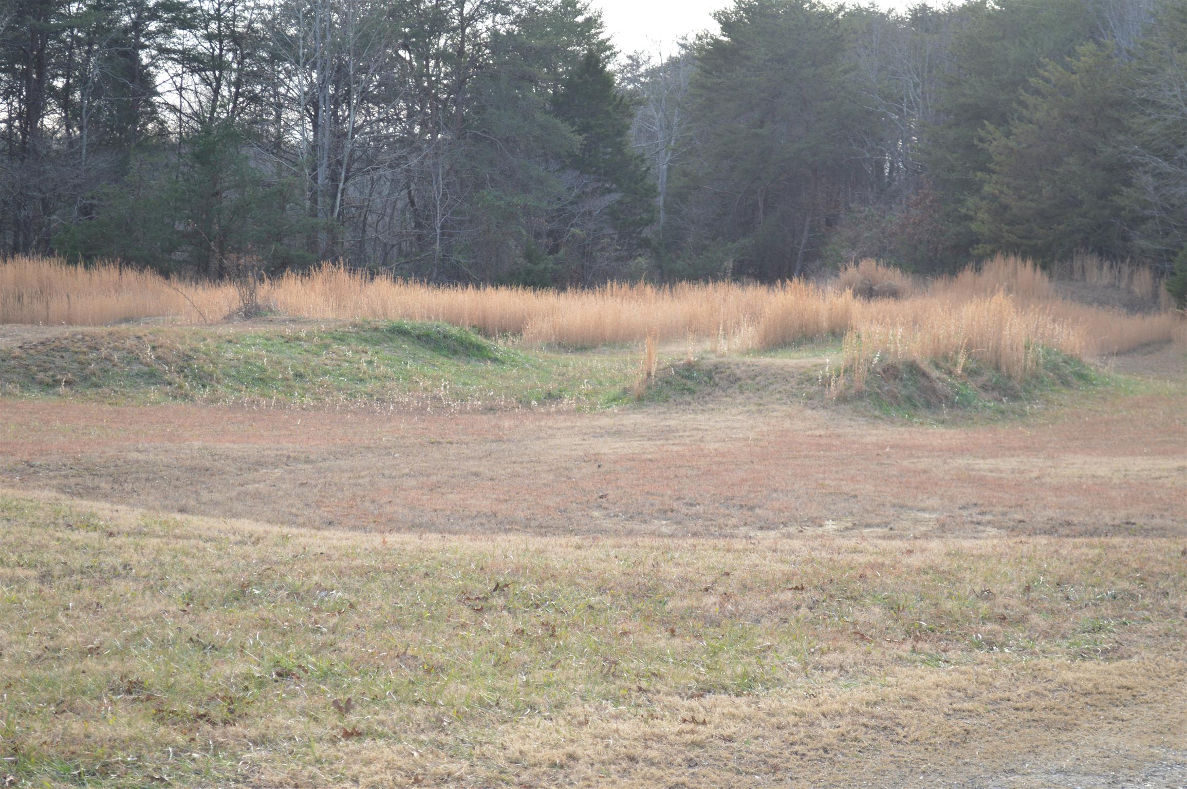 2083 White Bluff Road Burns, TN 37029 - Photo 19 of 20 Gallery Image 19