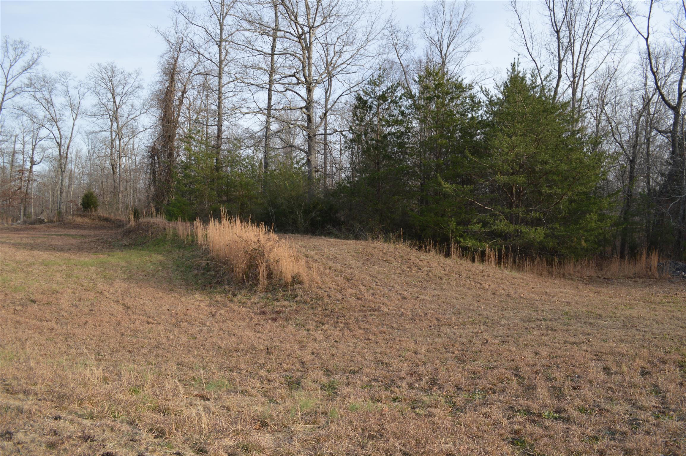 2083 White Bluff Road Burns, TN 37029 - Photo 20 of 20 Gallery Image 20