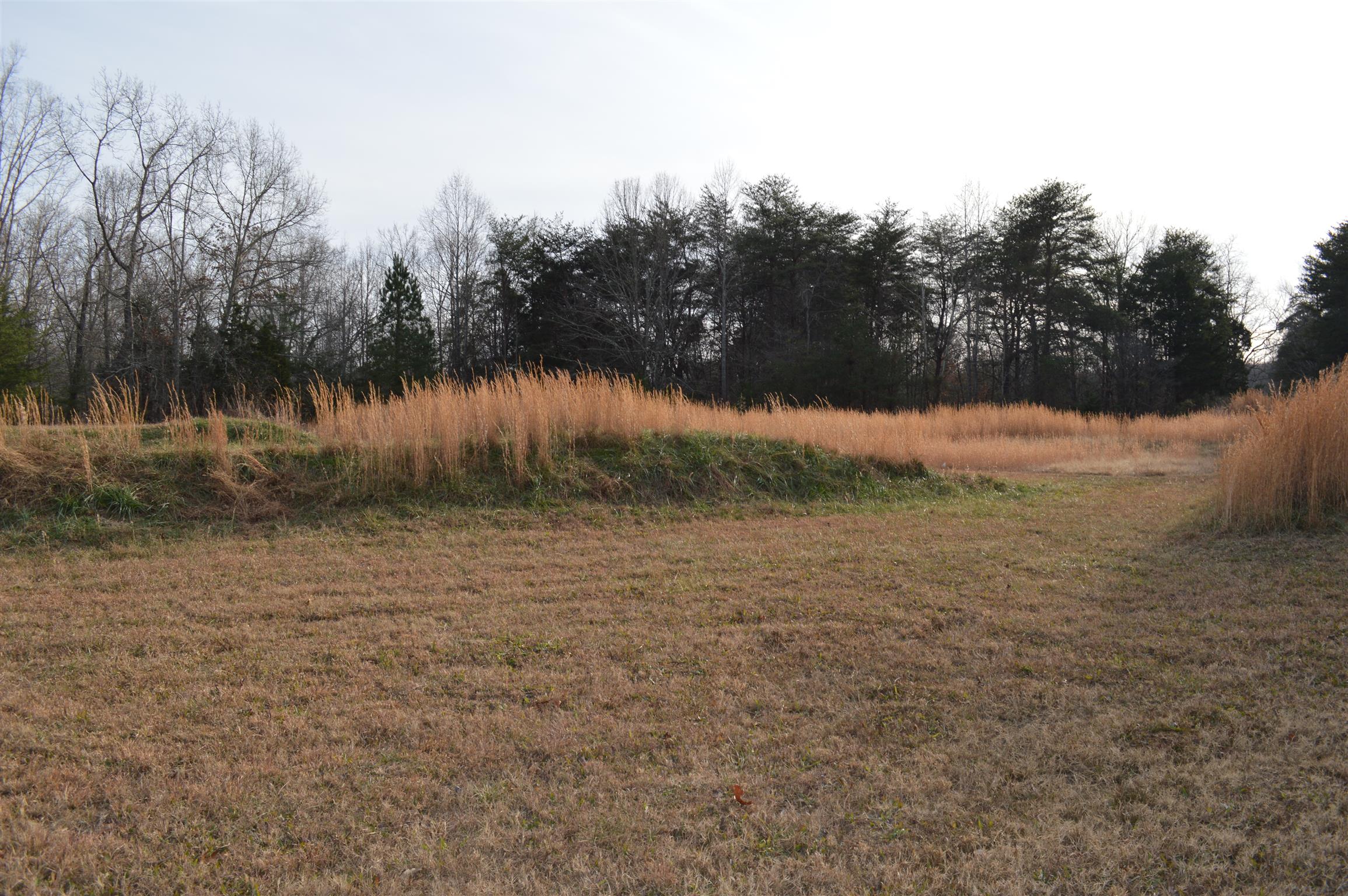 2083 White Bluff Road Burns, TN 37029 - Photo 3 of 20 Gallery Image 3