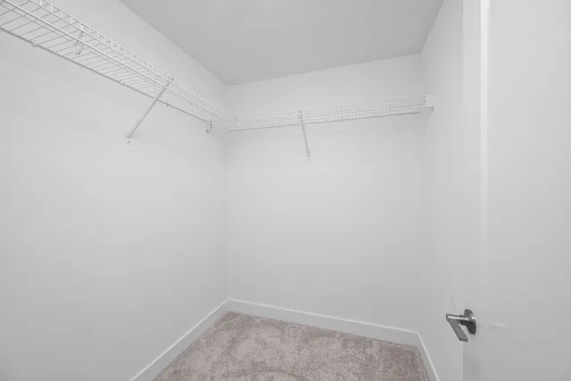 a view of a room with racks on the wall