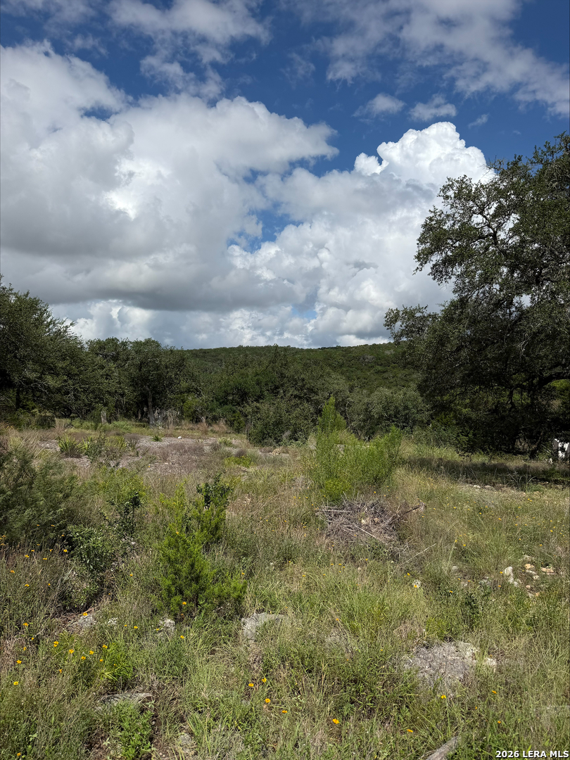 1417 Powder Ridge New Braunfels, TX 78132 - Photo 14 of 17