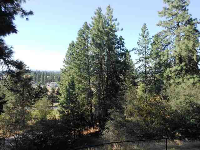 5307 South Corkery Road Spokane, WA 99223 - Photo 8 of 8