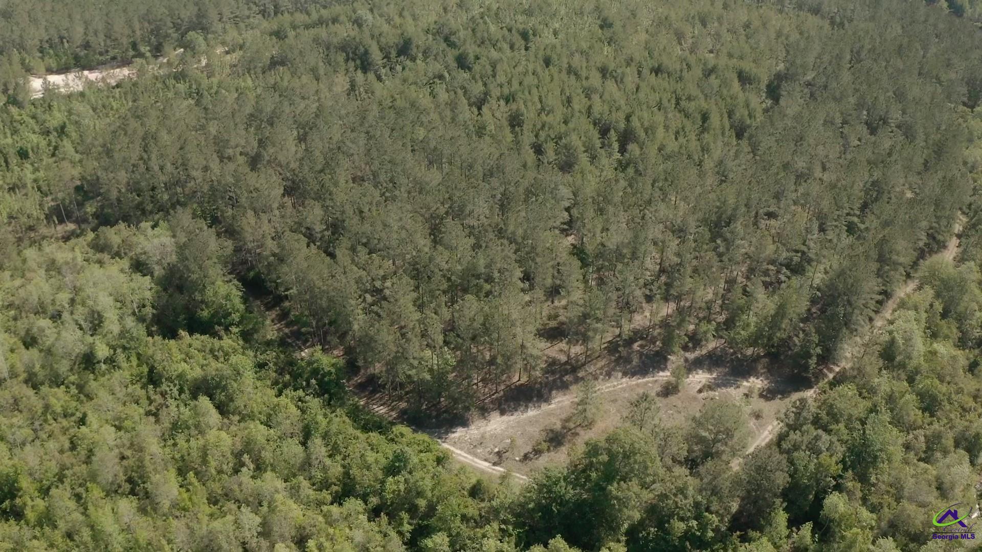 Carl Sutton Road Lizella, GA 31052 - Photo 20 of 23
