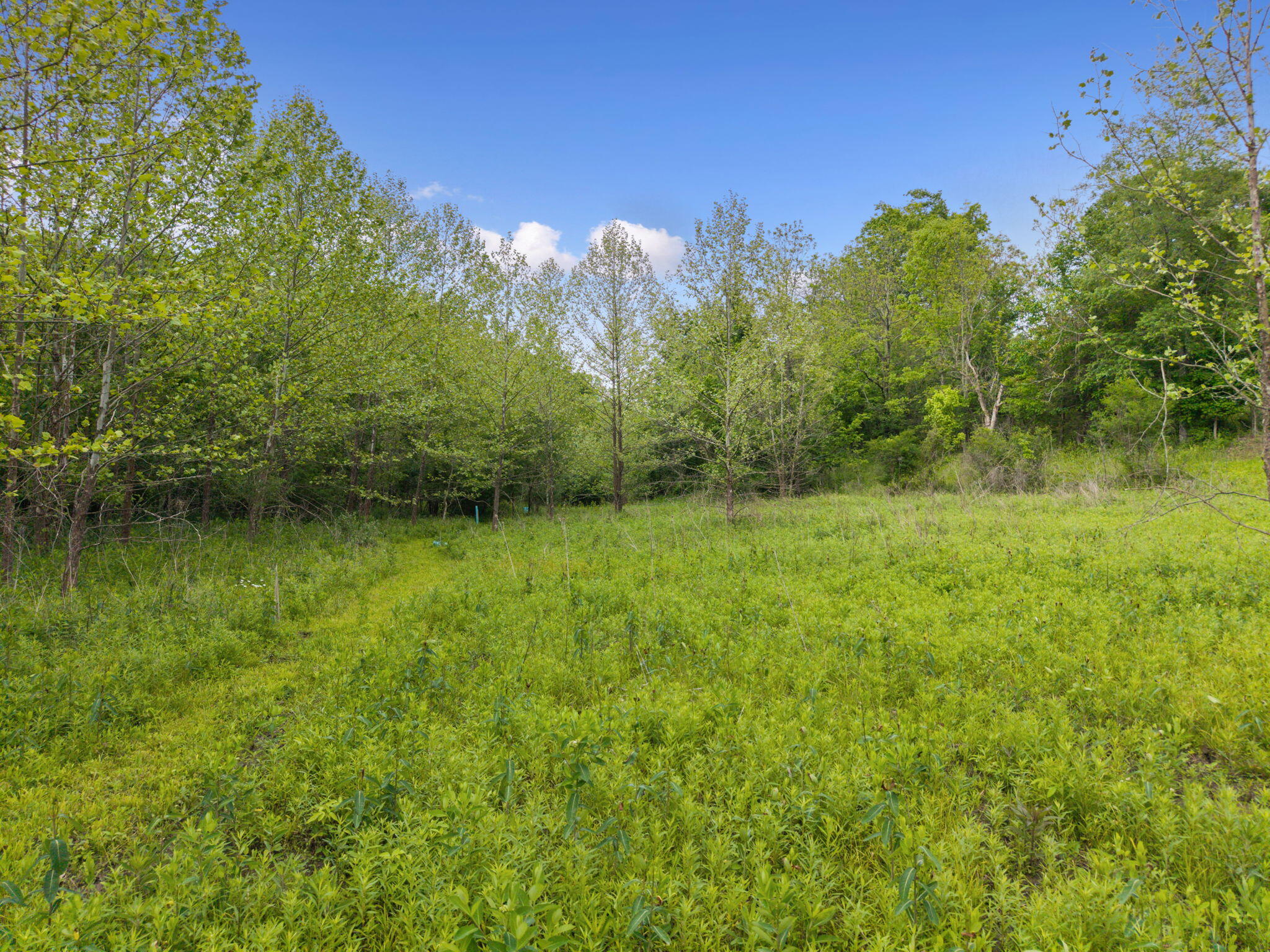 925 Lockmier Road Augusta, KY 41002 - Photo 45 of 50