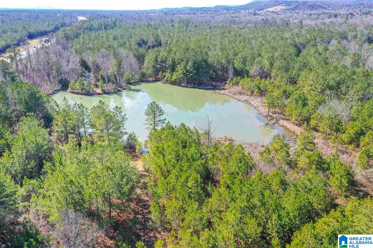 0 Barron Street Steele, AL 35987 - Photo 1 of 14
