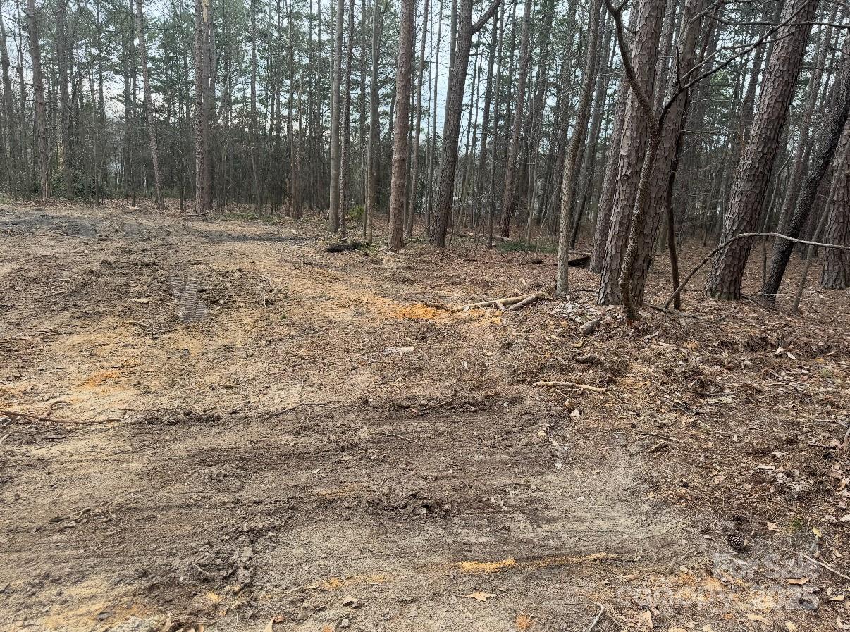 0 West Ridge Avenue Landis, NC 28088 - Photo 16 of 16 a view of outdoor space with trees