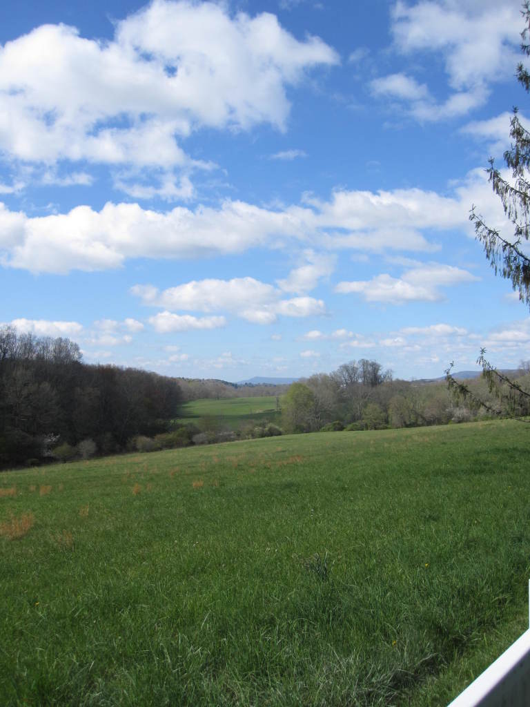 804 Private Road Lewisburg, WV 24901 - Photo 24 of 36 Views