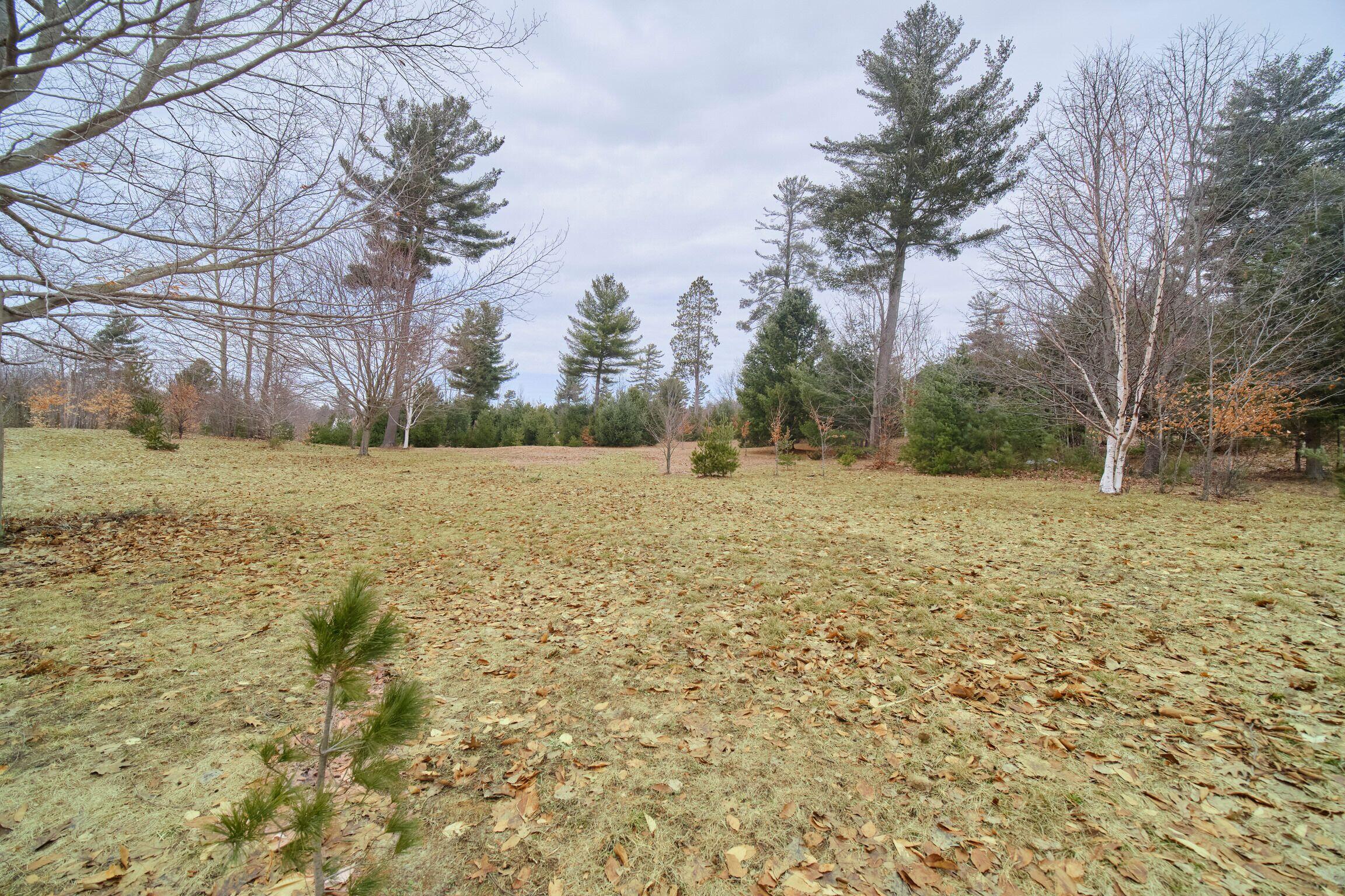10201 Opal Ridge Drive Onekama, MI 49675 - Photo 65 of 88 Acreage views