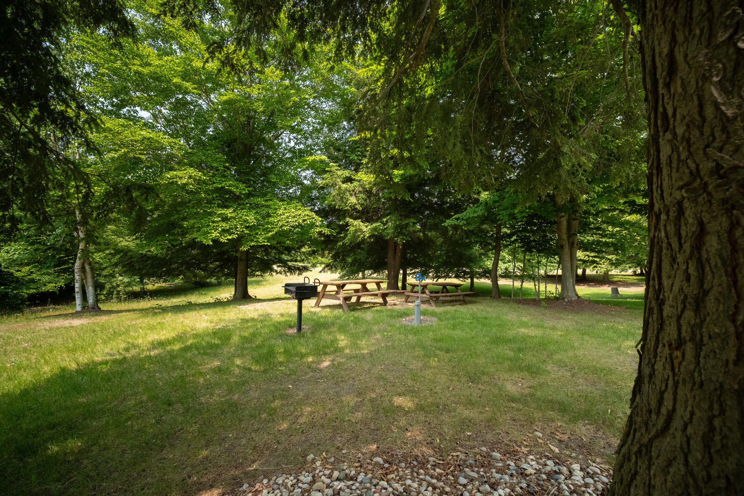10201 Opal Ridge Drive Onekama, MI 49675 - Photo 72 of 88 Association picnic area