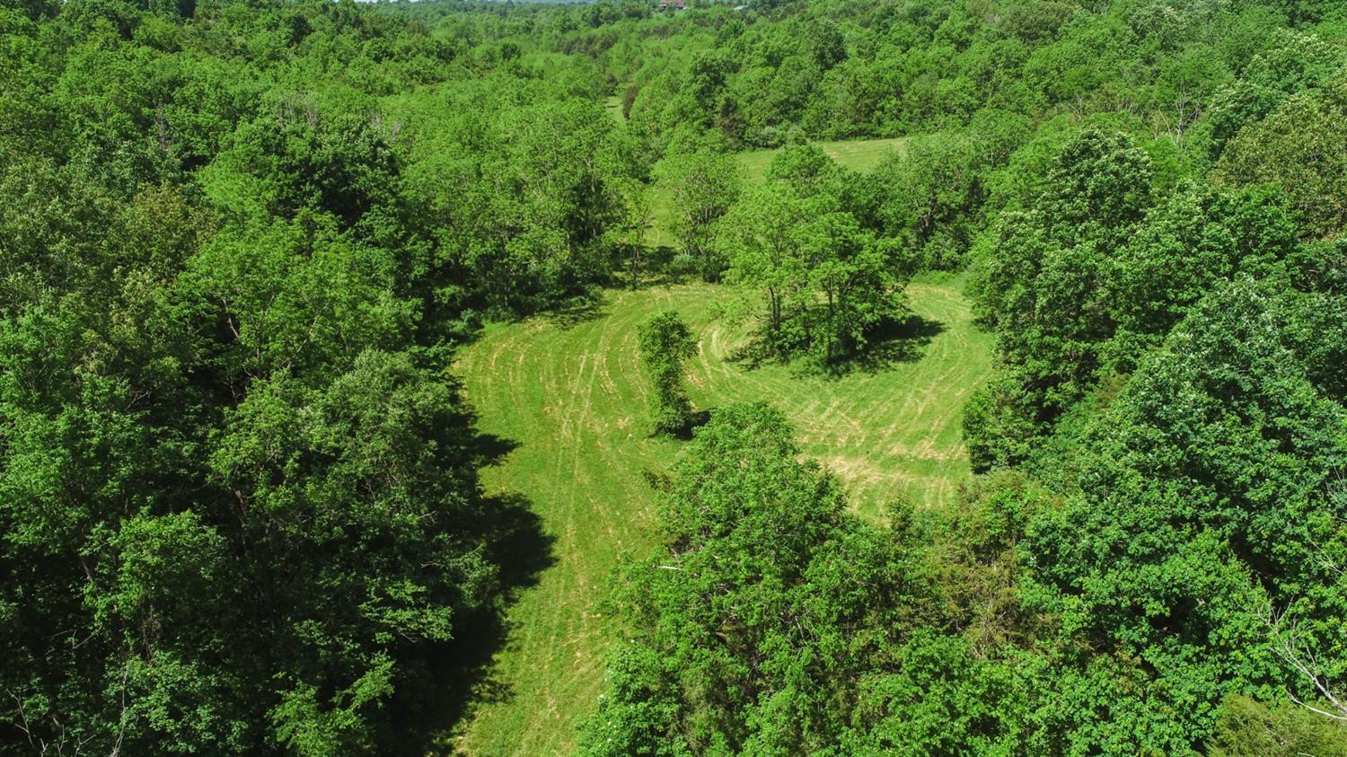 1264 North Dividing Ridge Road Sadieville, KY 40370 - Photo 62 of 75 Photo 62