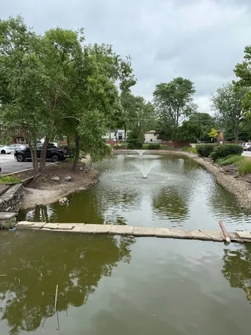 a view of swimming pool with yard