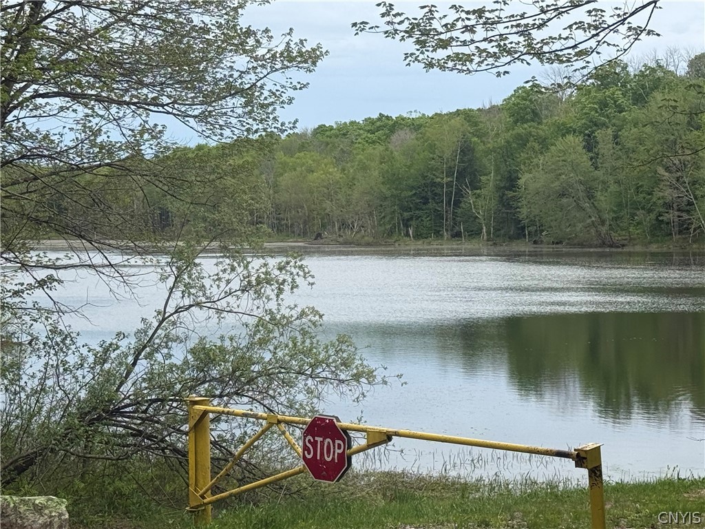 Lot #9 Lost Ridge Road, Unit 9 Camden, NY 13316 - Photo 22 of 27