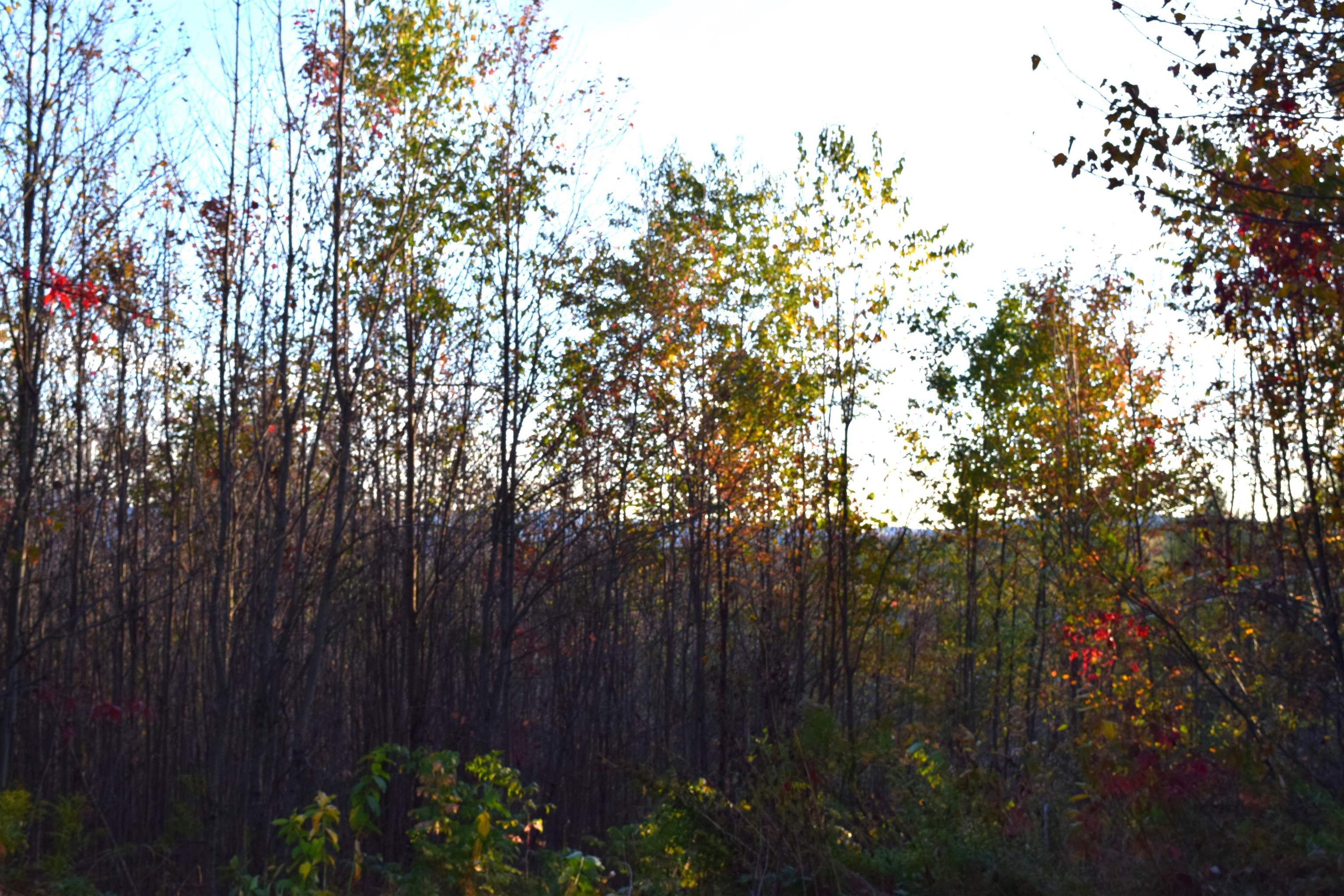 6 Knot Hole Road Whitefield, NH 03598 - Photo 7 of 8