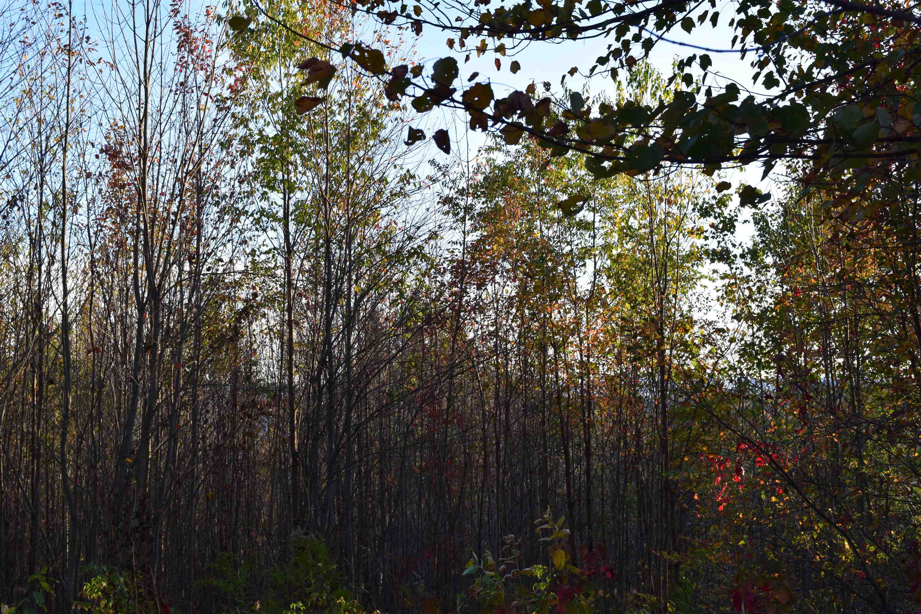 6 Knot Hole Road Whitefield, NH 03598 - Photo 8 of 8