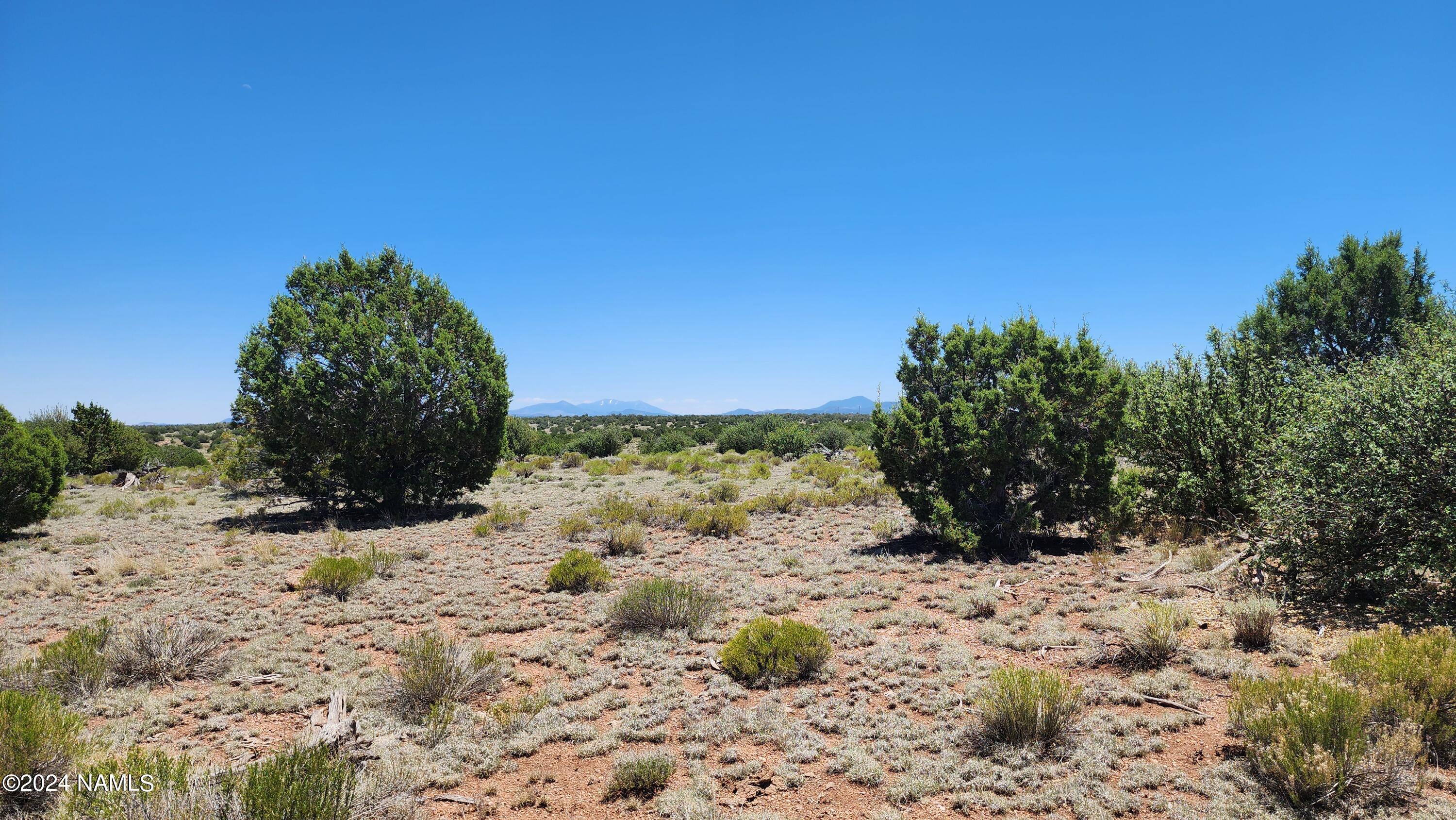 10624 Espee Road Williams, AZ 86046 - Photo 12 of 51 1000018408