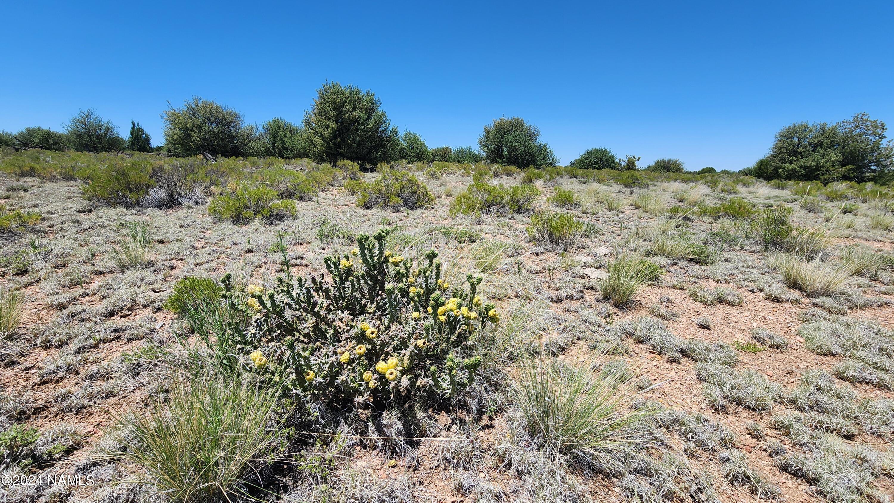 10624 Espee Road Williams, AZ 86046 - Photo 13 of 51 1000018388