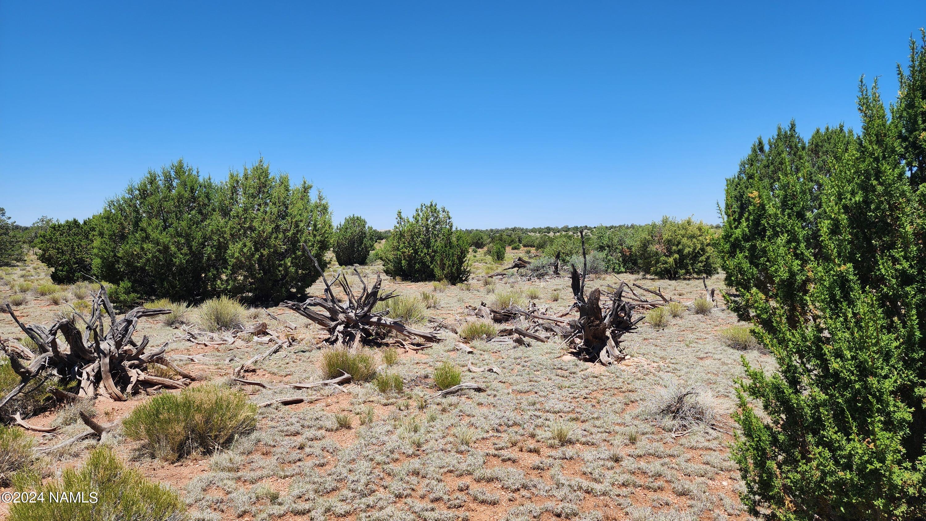 10624 Espee Road Williams, AZ 86046 - Photo 14 of 51 1000018405