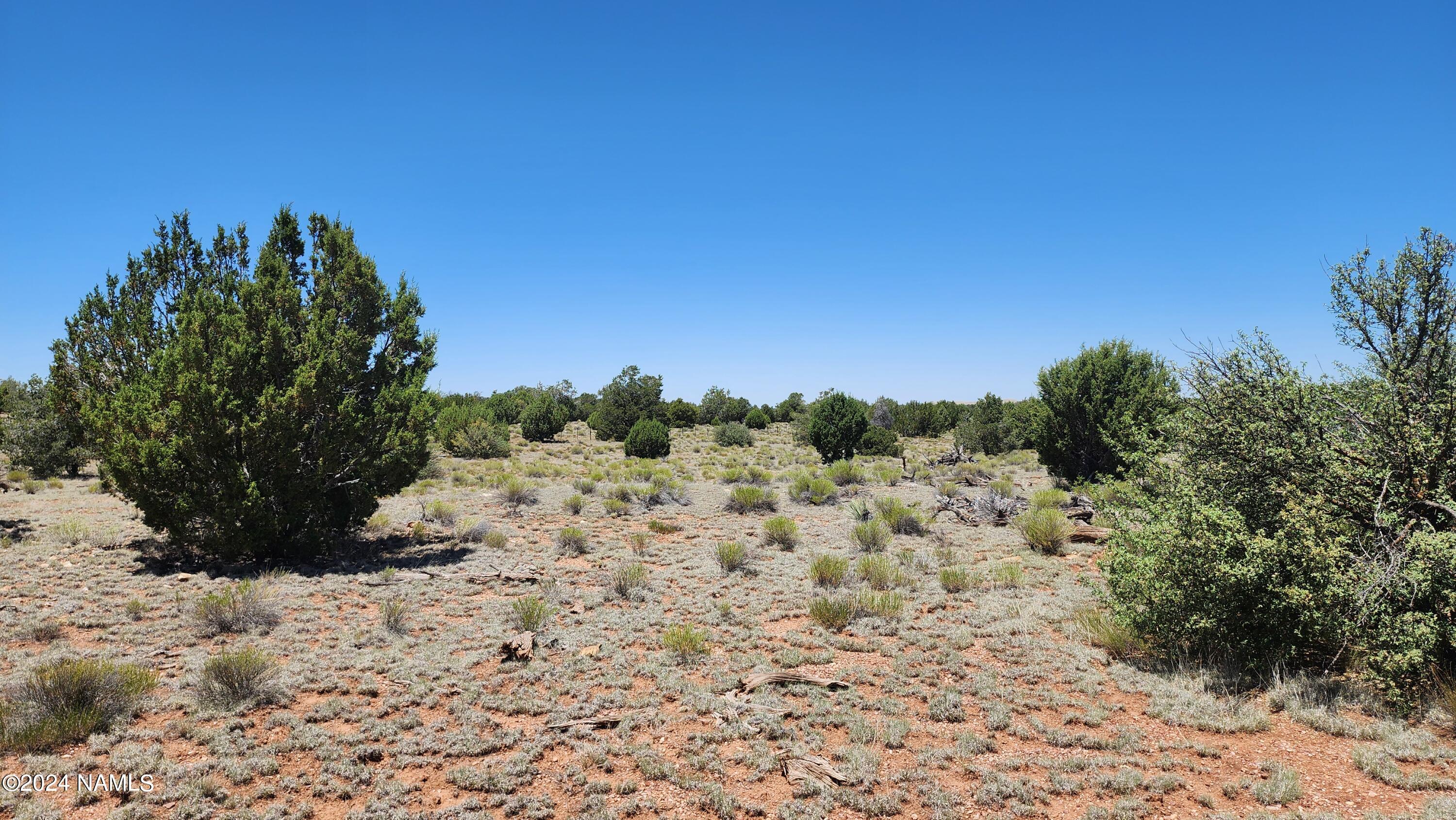 10624 Espee Road Williams, AZ 86046 - Photo 16 of 51 1000018407