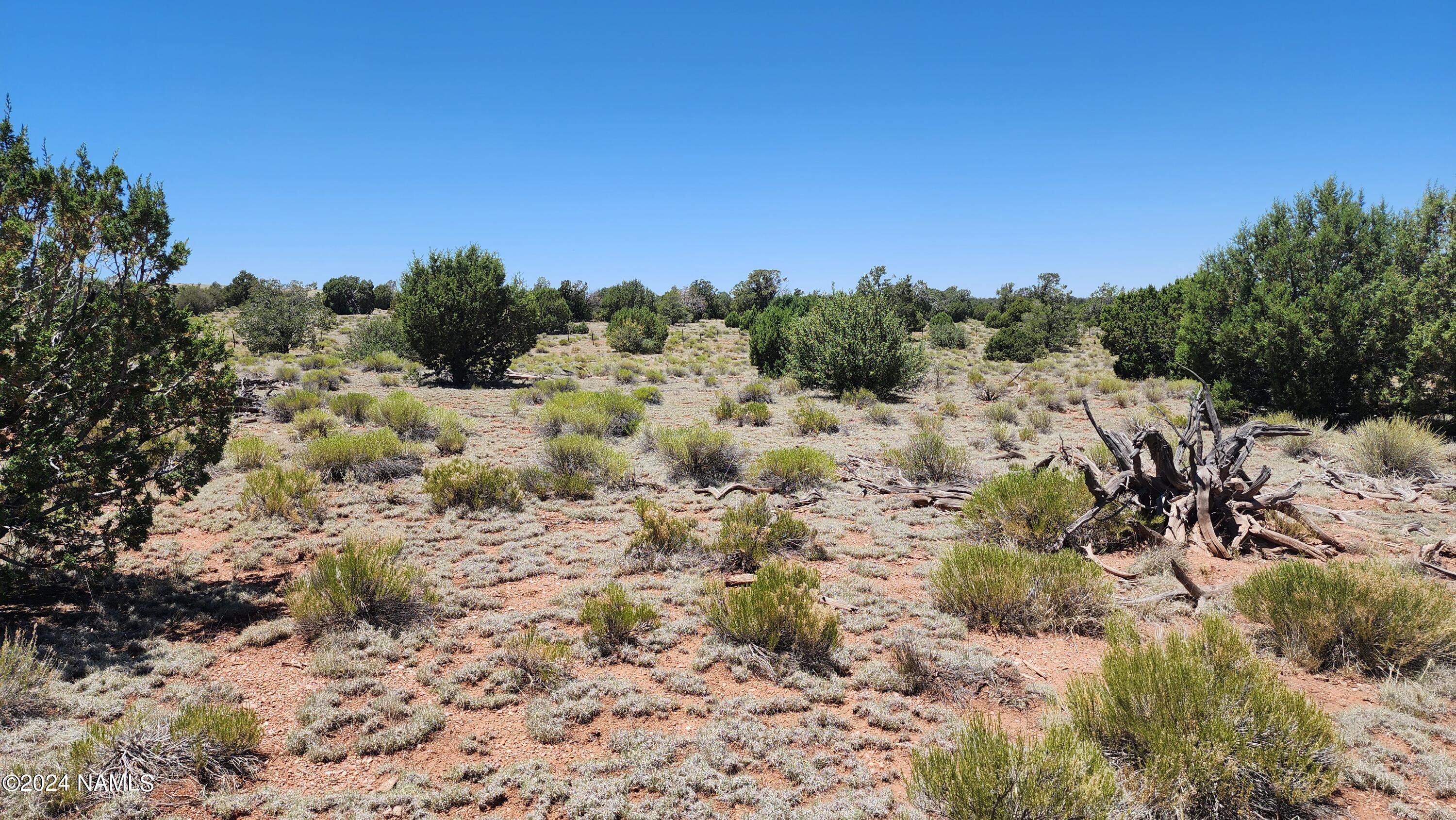 10624 Espee Road Williams, AZ 86046 - Photo 18 of 51 1000018404