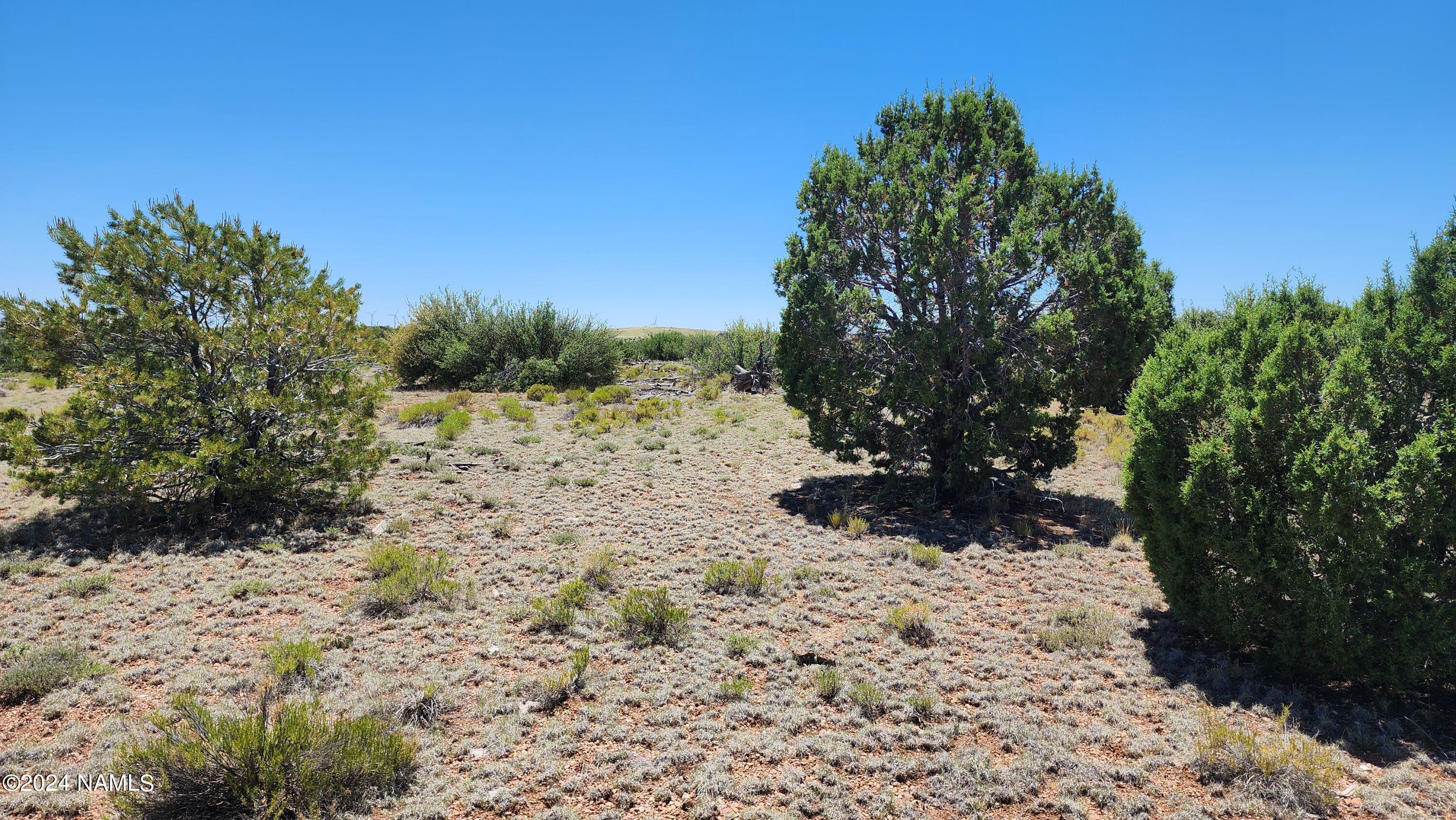 10624 Espee Road Williams, AZ 86046 - Photo 20 of 51 1000018402