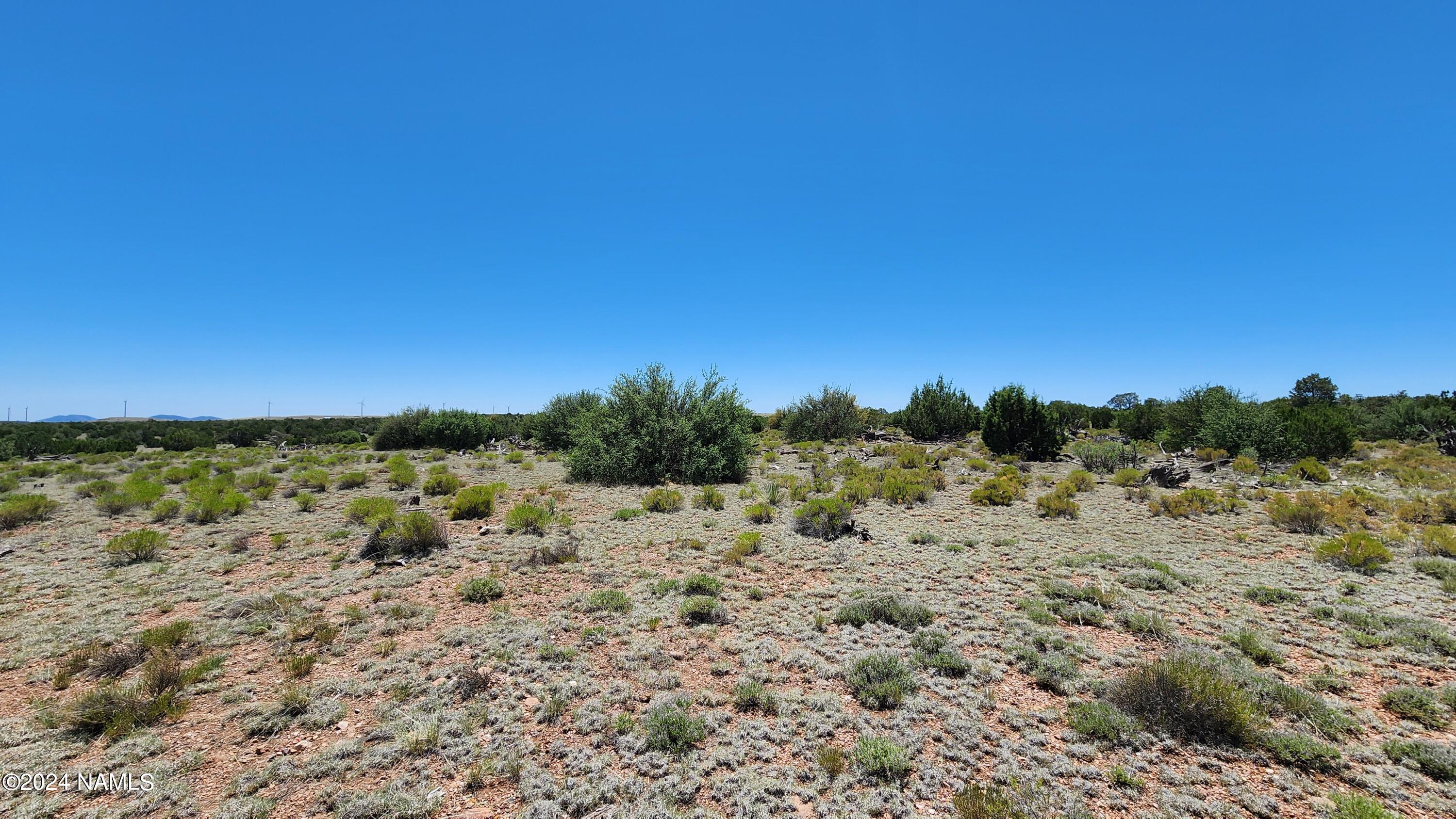 10624 Espee Road Williams, AZ 86046 - Photo 21 of 51 1000018415