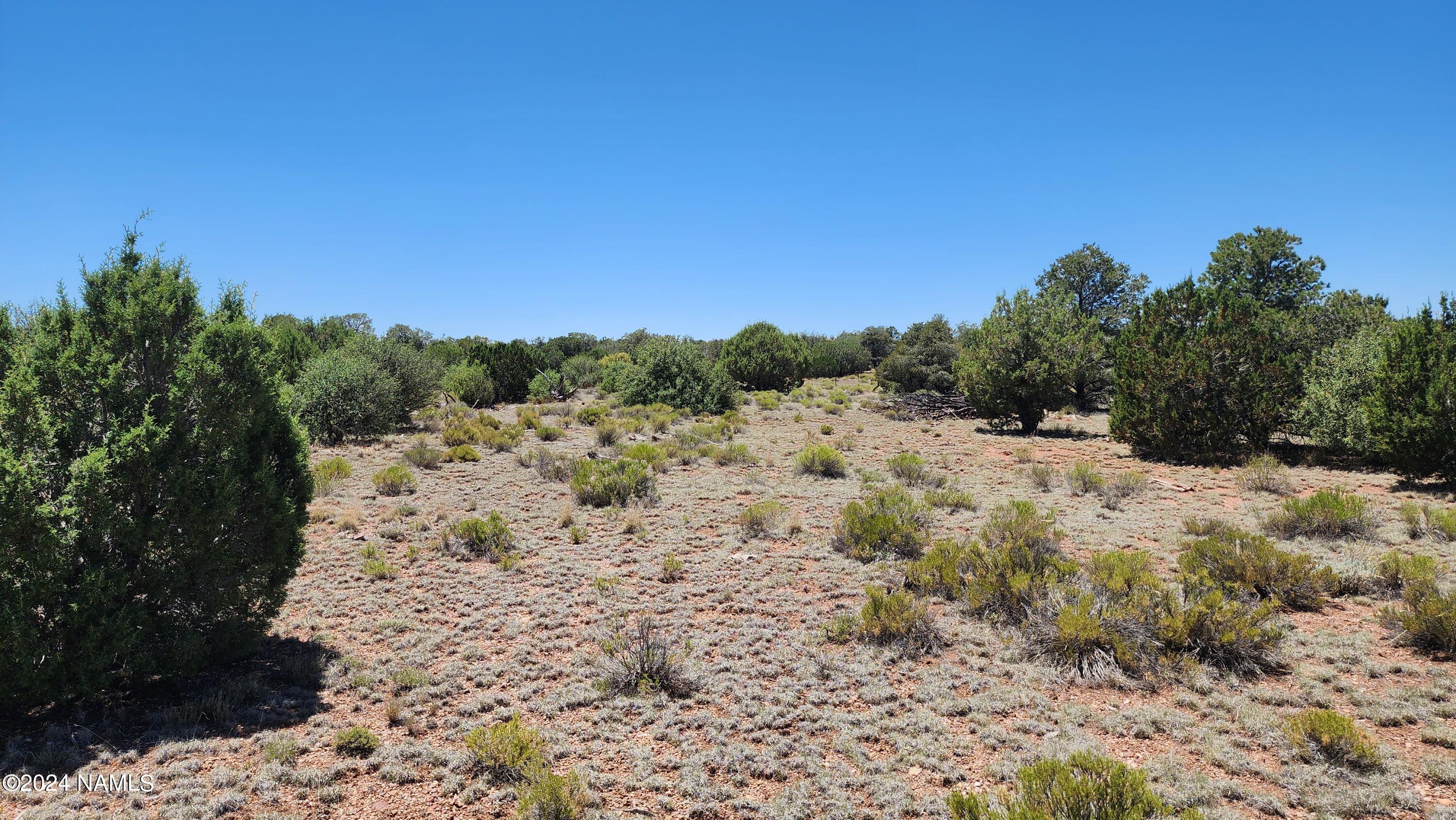 10624 Espee Road Williams, AZ 86046 - Photo 23 of 51 1000018401
