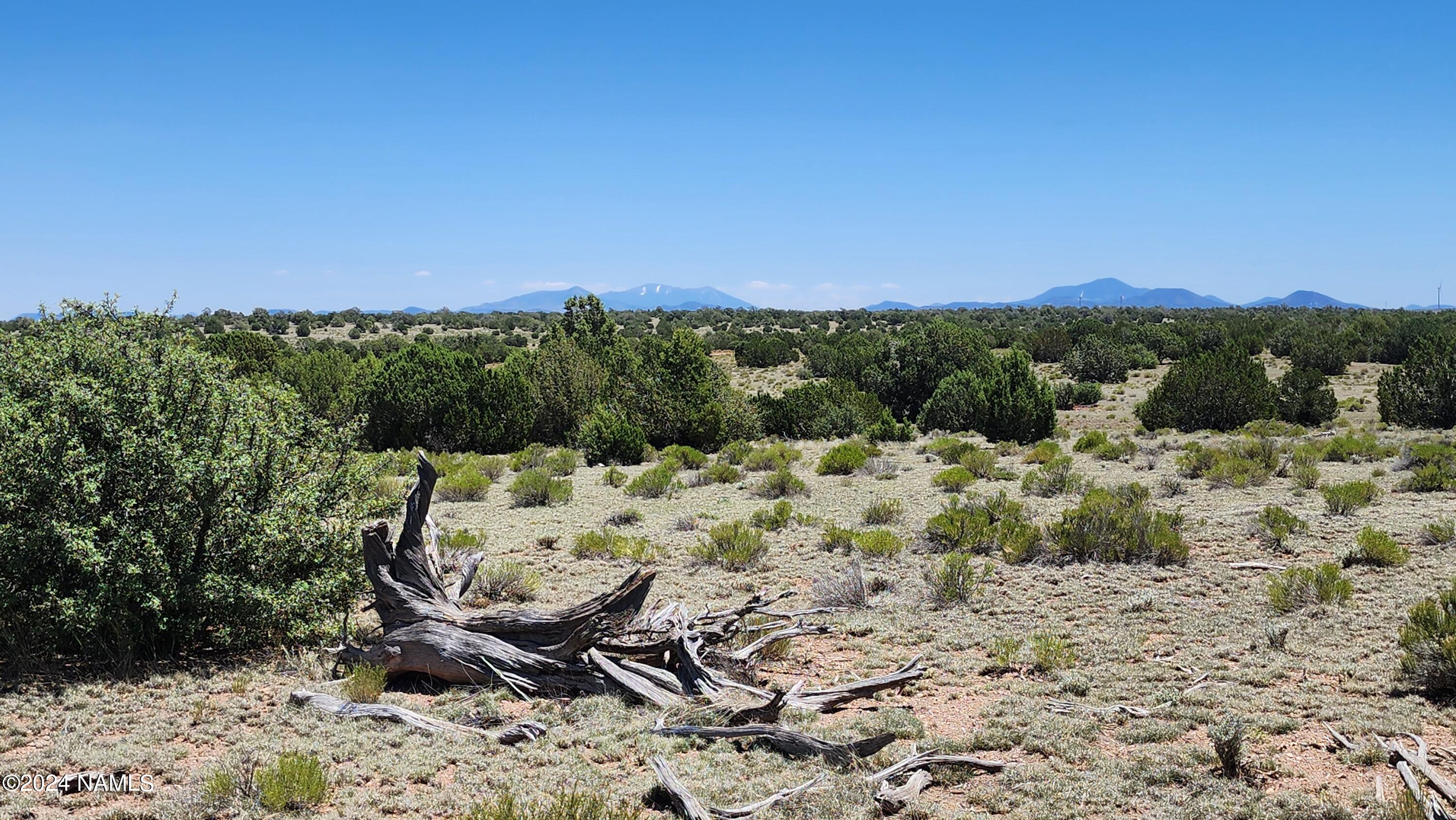 10624 Espee Road Williams, AZ 86046 - Photo 24 of 51 1000018395