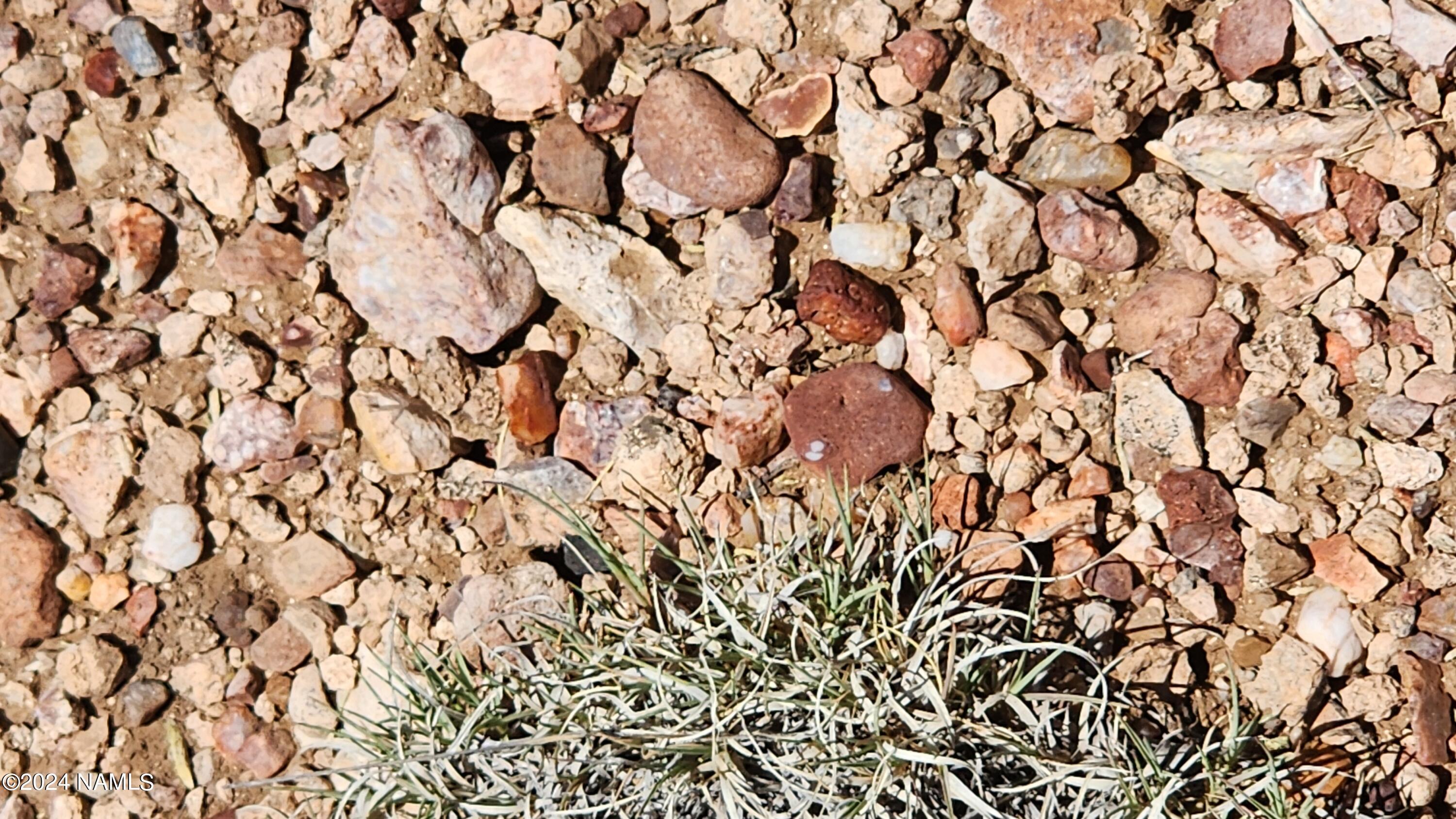10624 Espee Road Williams, AZ 86046 - Photo 25 of 51 1000018393