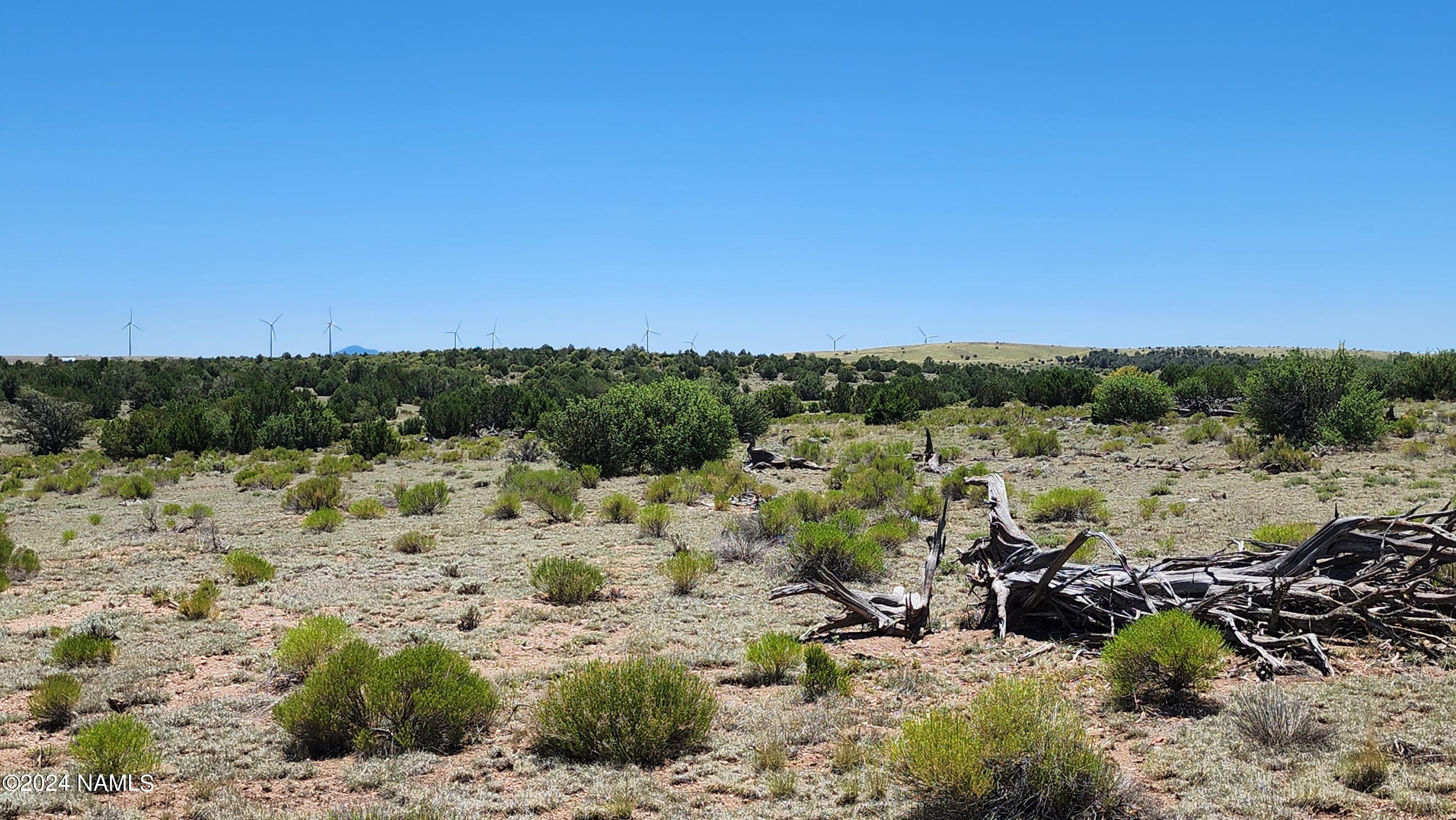 10624 Espee Road Williams, AZ 86046 - Photo 26 of 51 1000018394