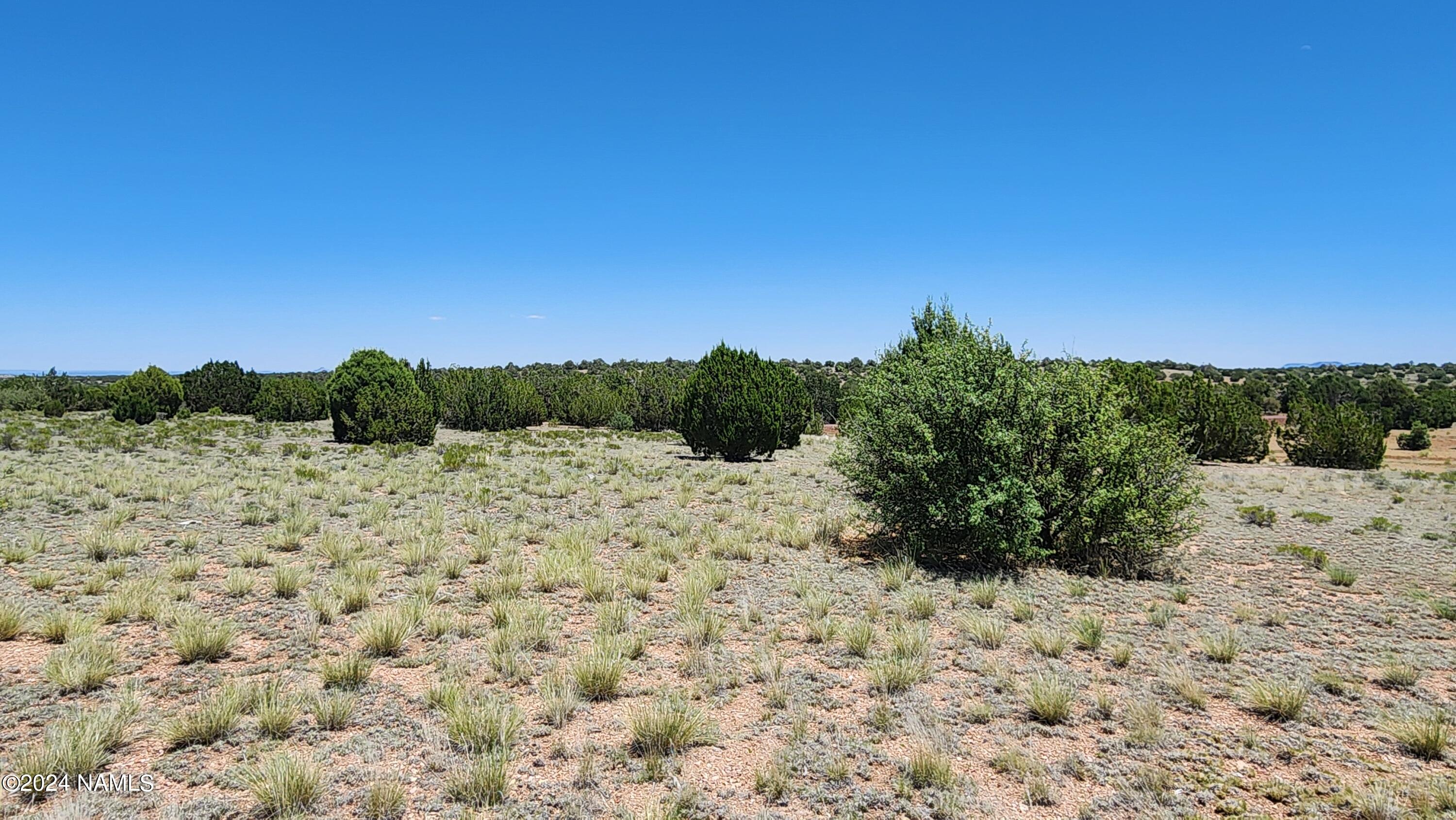 10624 Espee Road Williams, AZ 86046 - Photo 27 of 51 1000018392