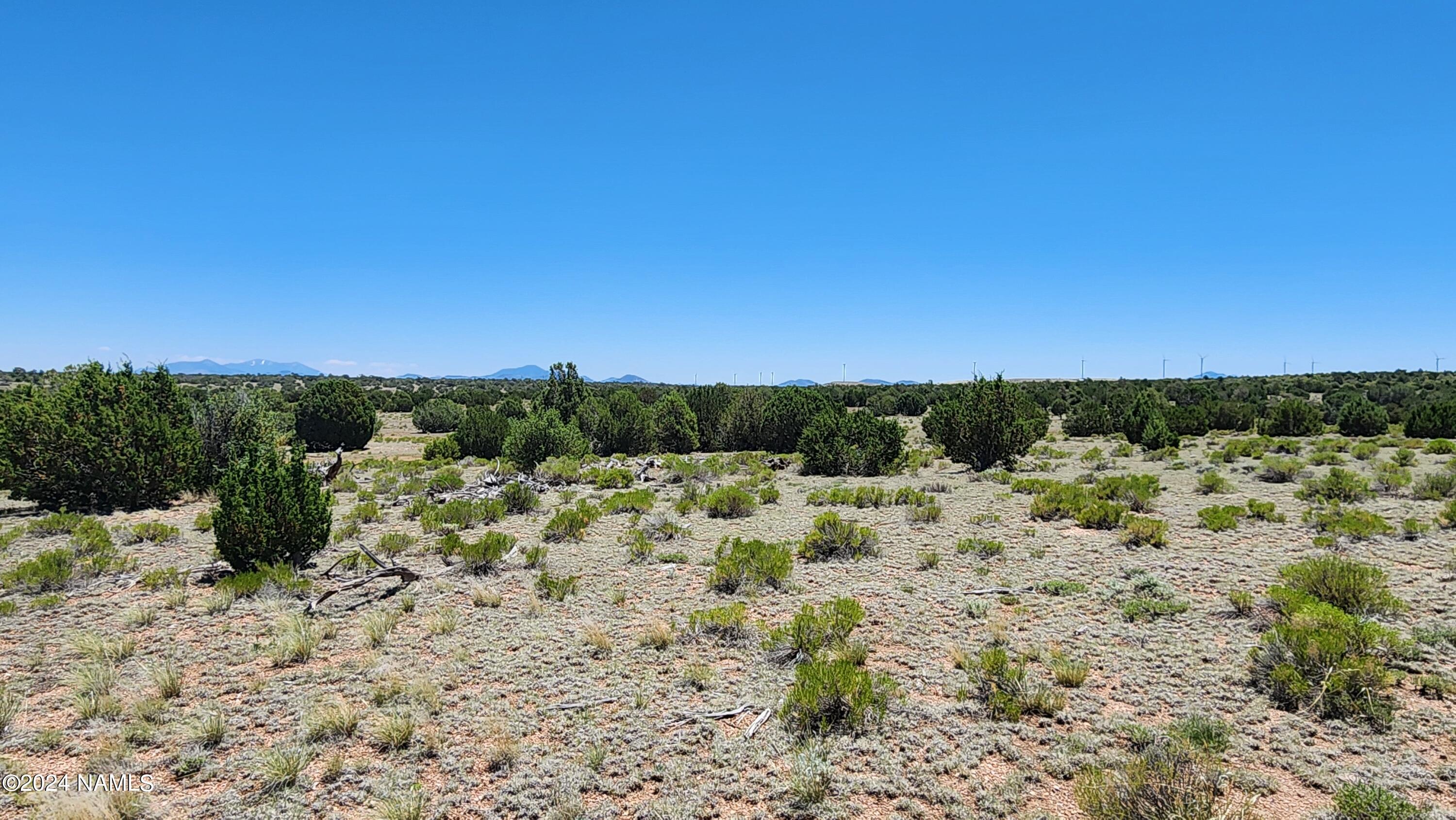 10624 Espee Road Williams, AZ 86046 - Photo 29 of 51 1000018391