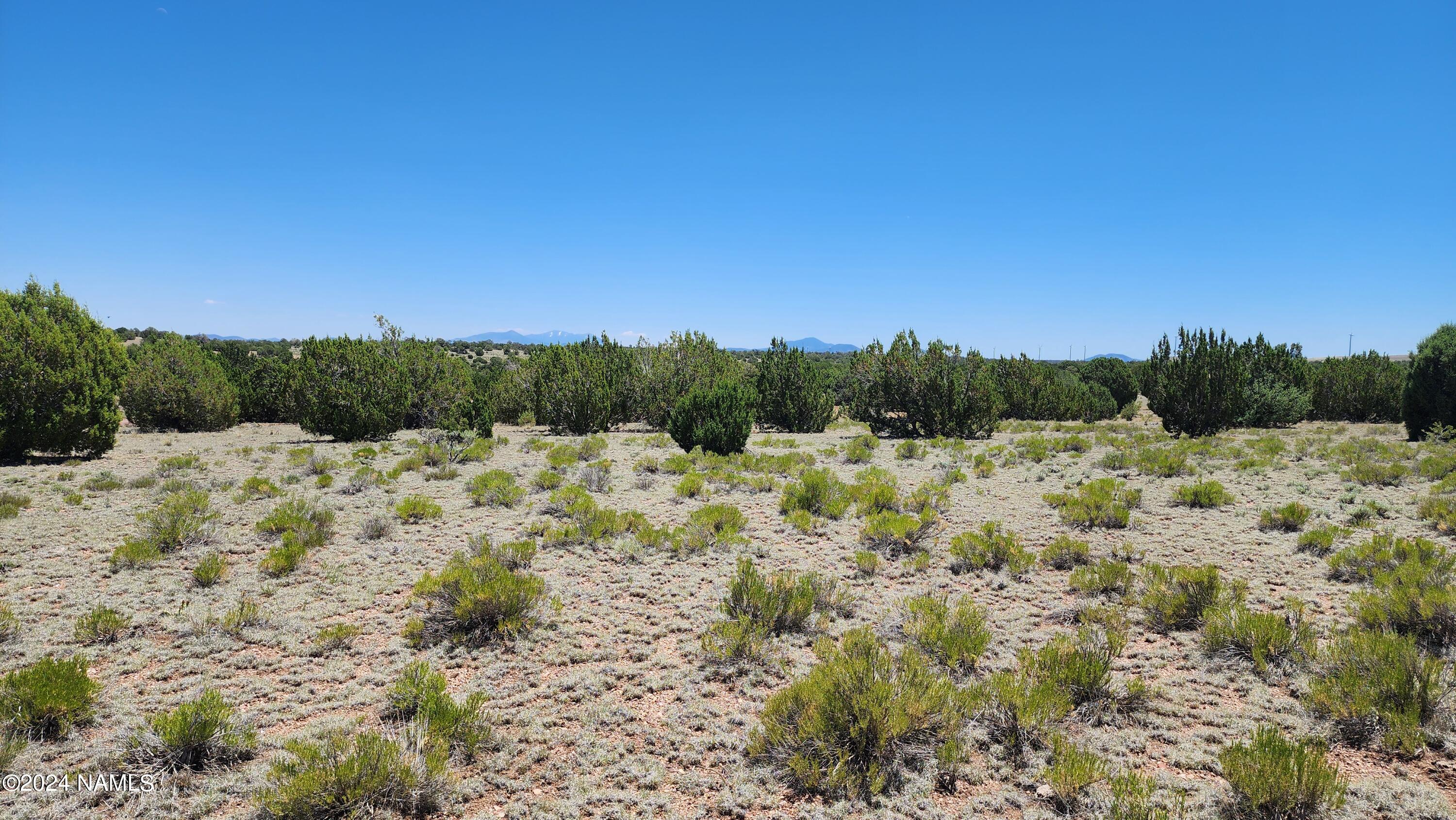 10624 Espee Road Williams, AZ 86046 - Photo 30 of 51 1000018383