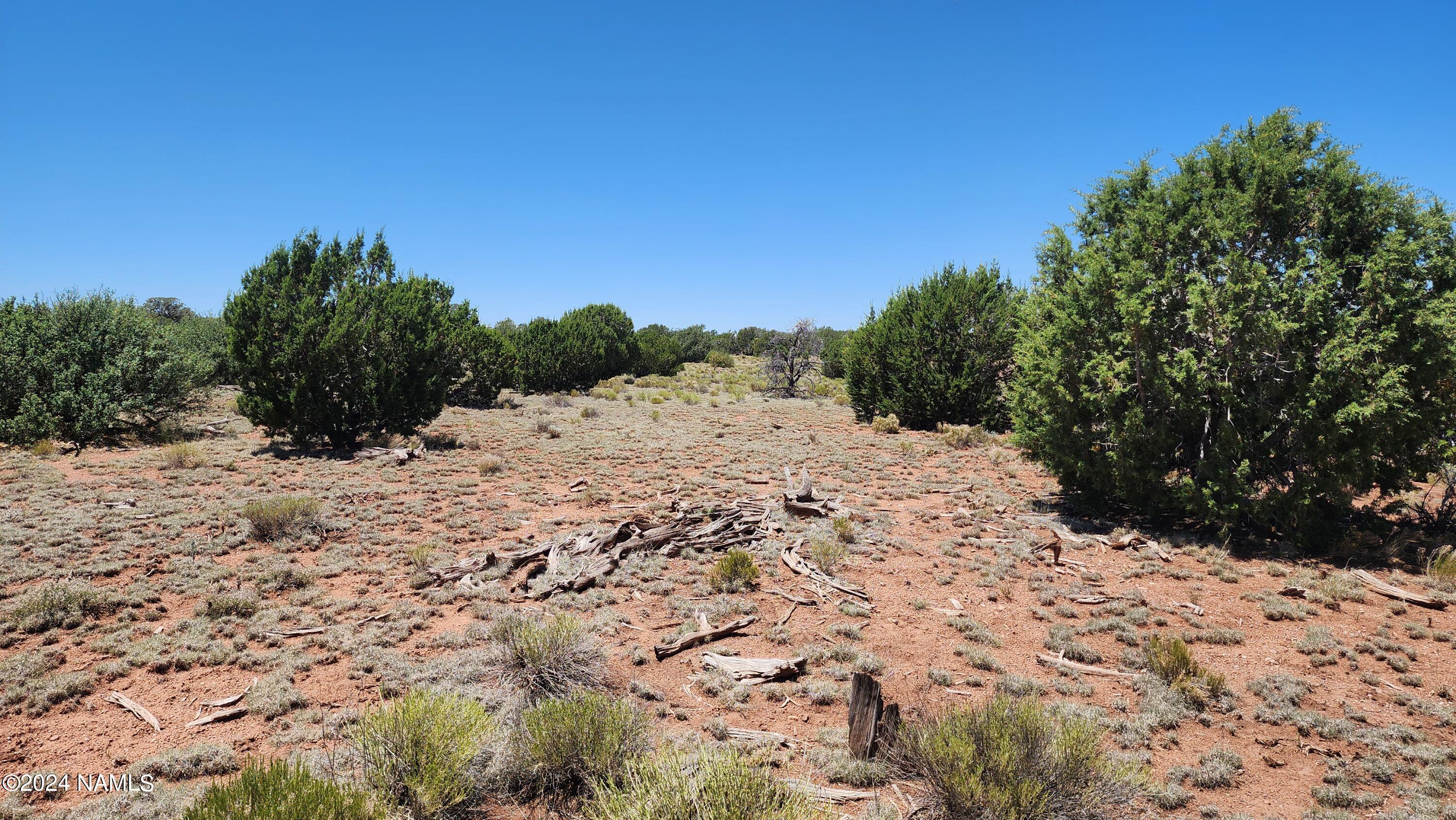 10624 Espee Road Williams, AZ 86046 - Photo 33 of 51 1000018378