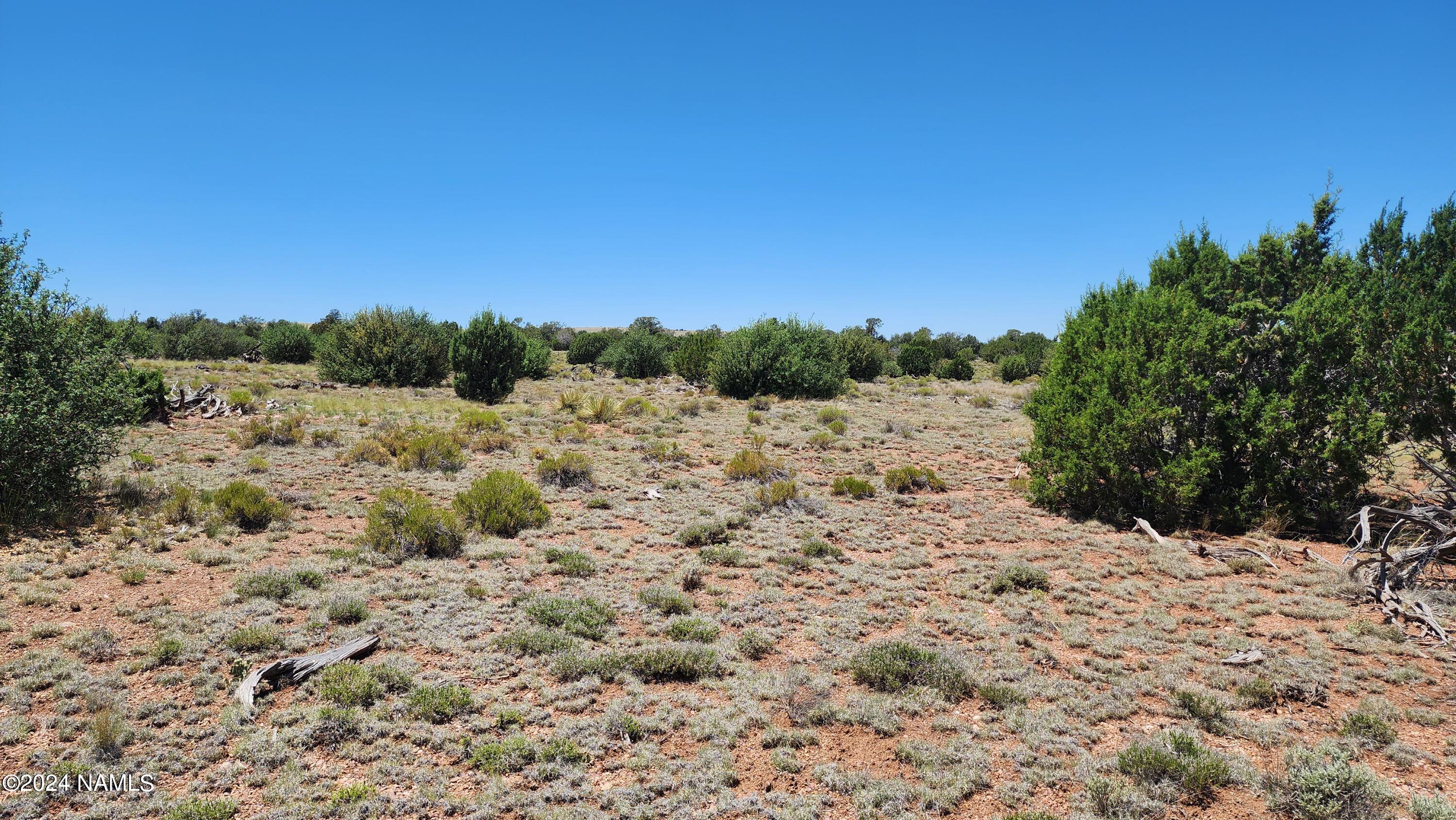 10624 Espee Road Williams, AZ 86046 - Photo 34 of 51 1000018381