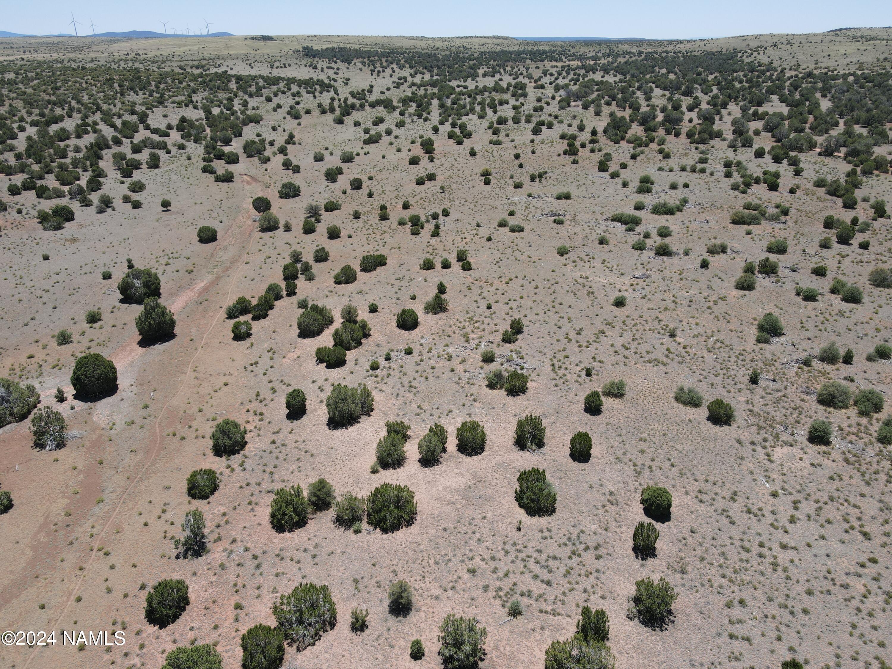 10624 Espee Road Williams, AZ 86046 - Photo 47 of 51 1000018477