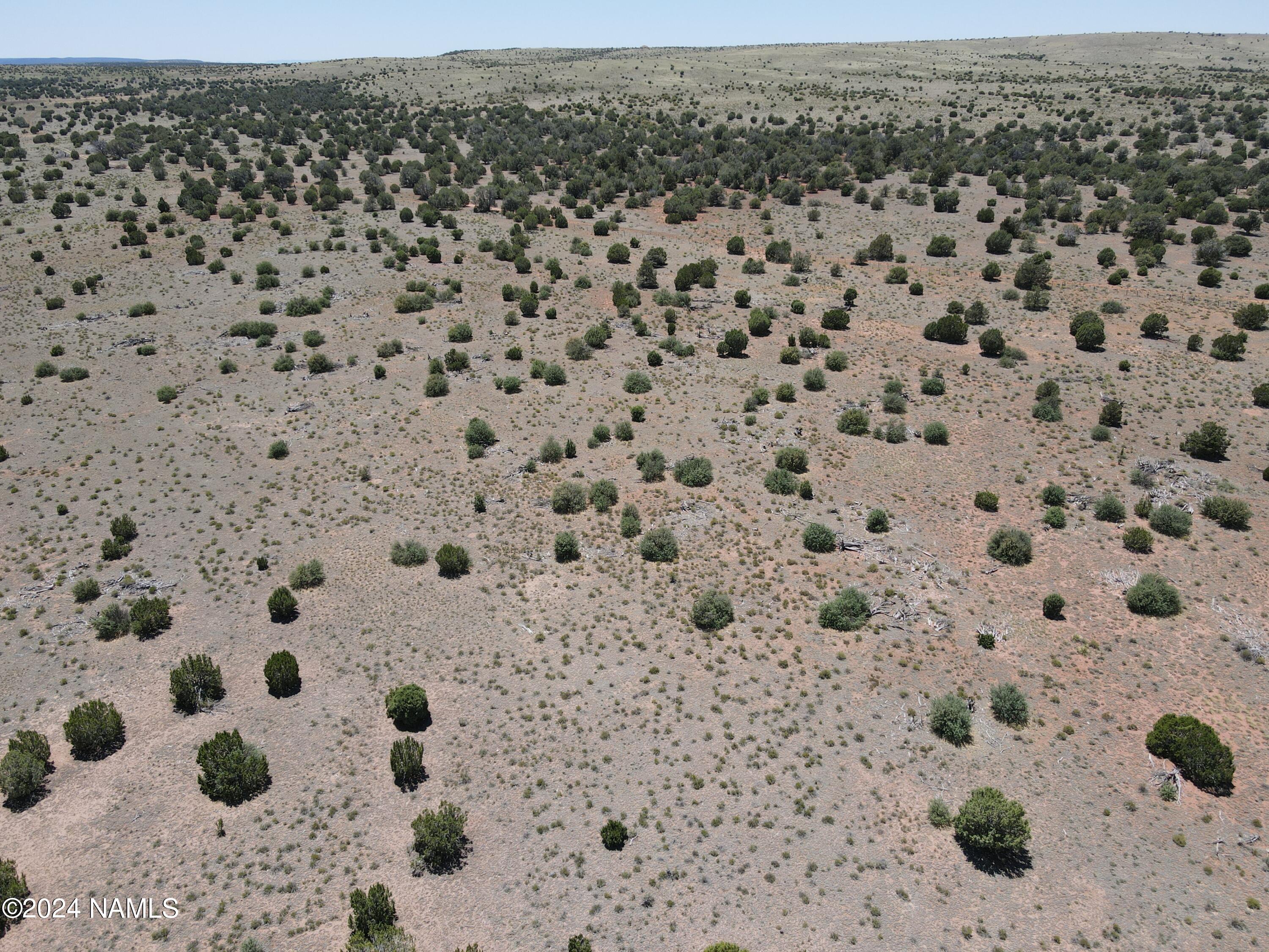 10624 Espee Road Williams, AZ 86046 - Photo 48 of 51 1000018478