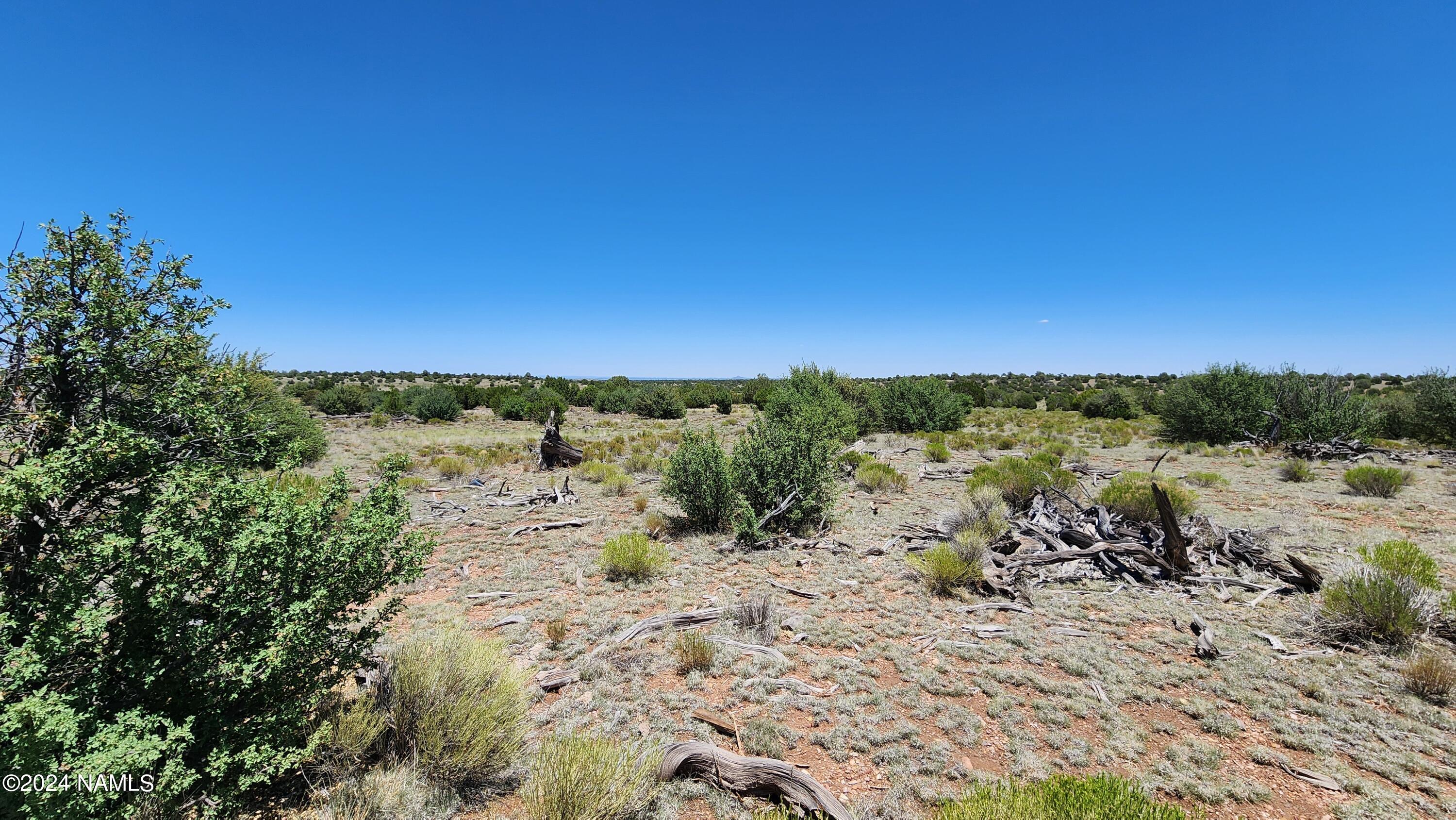 10624 Espee Road Williams, AZ 86046 - Photo 8 of 51 1000018413