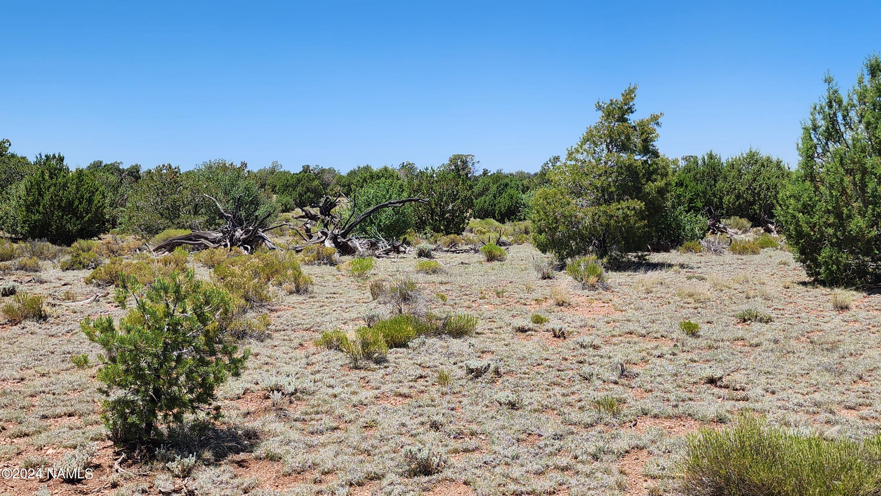10624 Espee Road Williams, AZ 86046 - Photo 9 of 51 1000018410