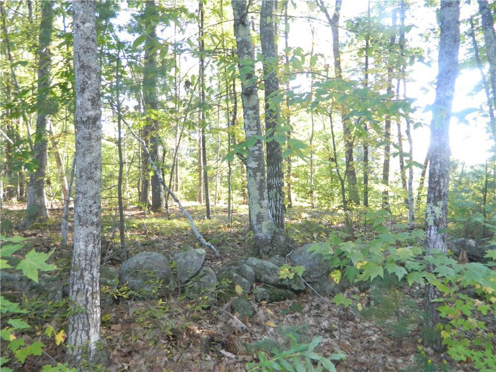 Lot 16-8 Avery Road Waterboro, ME 04087 - Photo 3 of 7 Photo