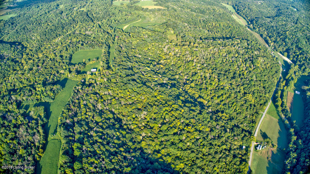 3210 Barebone Road Bedford, KY 40006 - Photo 17 of 23 85 acres with wildlife