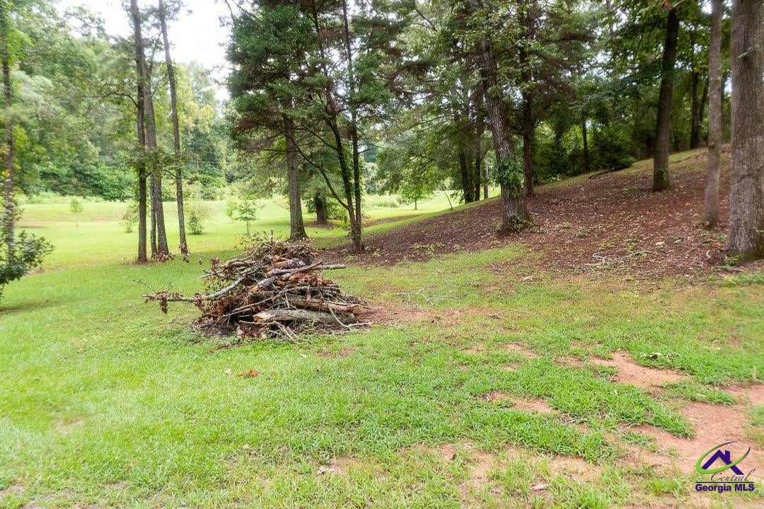 45 Ray Road Fort Valley, GA 31030 - Photo 20 of 46 Gallery Image 20
