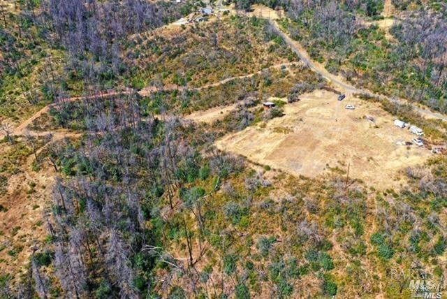 1525 Hunter Point Road Upper Lake, CA 95485 - Photo 2 of 6 a view of a yard with a tree