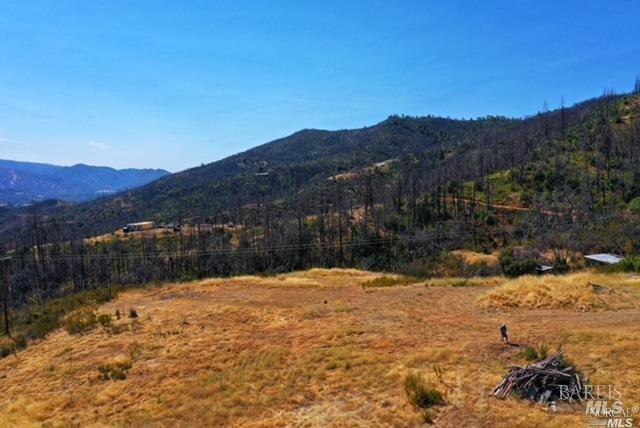 1525 Hunter Point Road Upper Lake, CA 95485 - Photo 3 of 6 a view of backyard with a lake