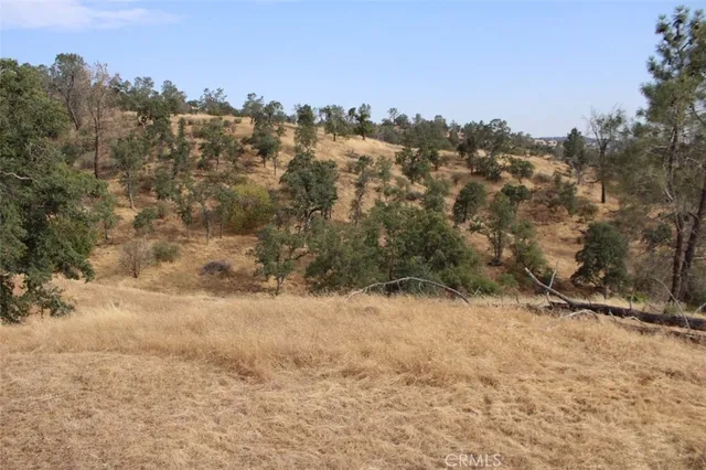 a view of a covered with trees in the background