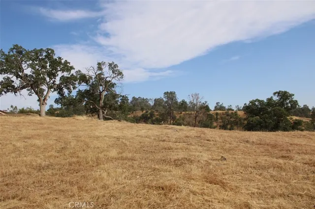 a view of mountain view with trees