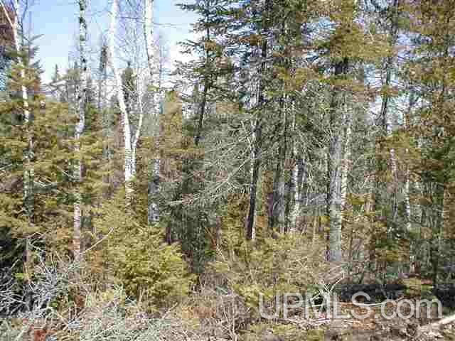 Tbd Off Craig Lake Road Michigamme, MI 49861 - Photo 14 of 23